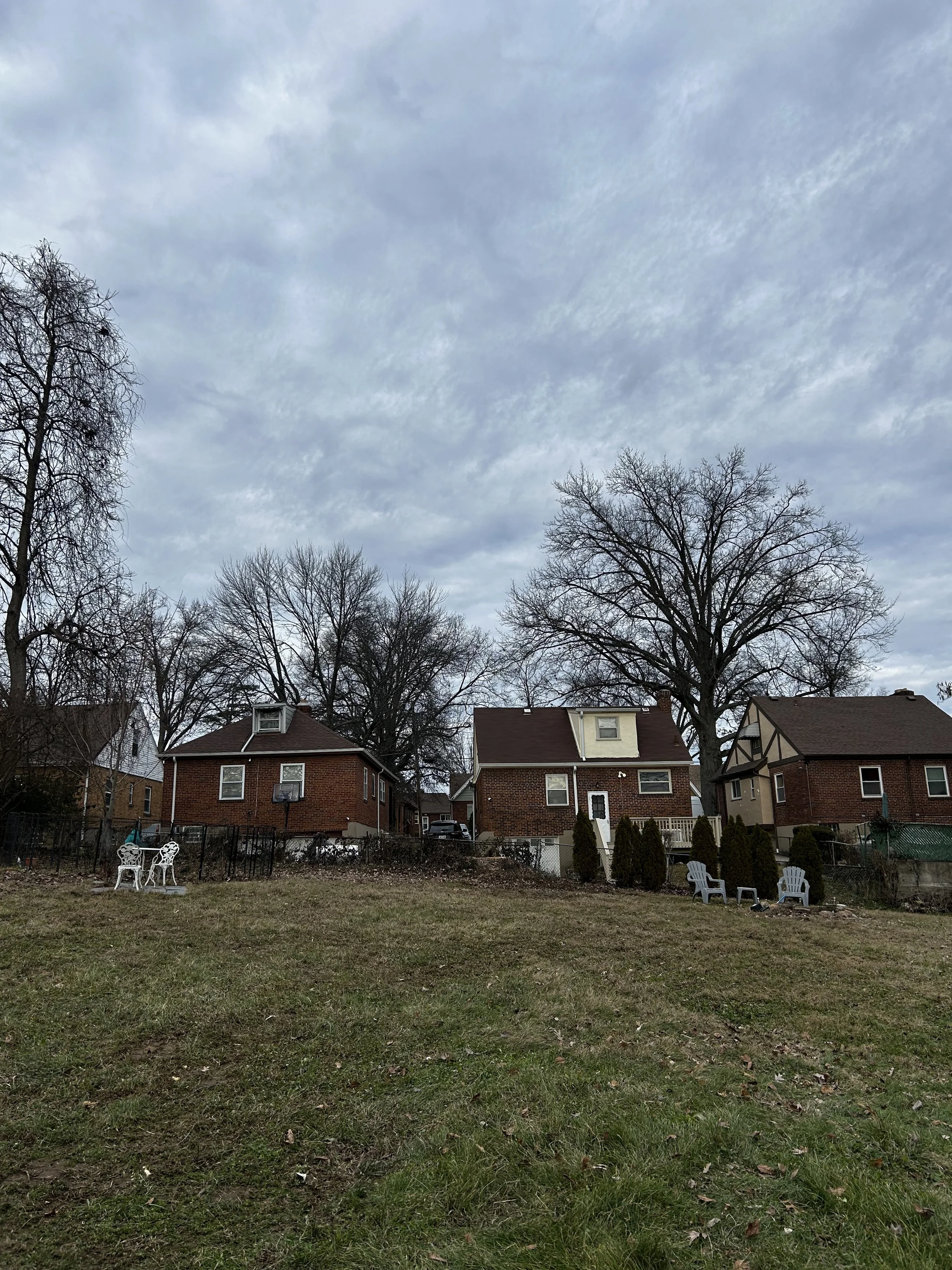 Hazardous tree removal in Cincinnati, Ohio