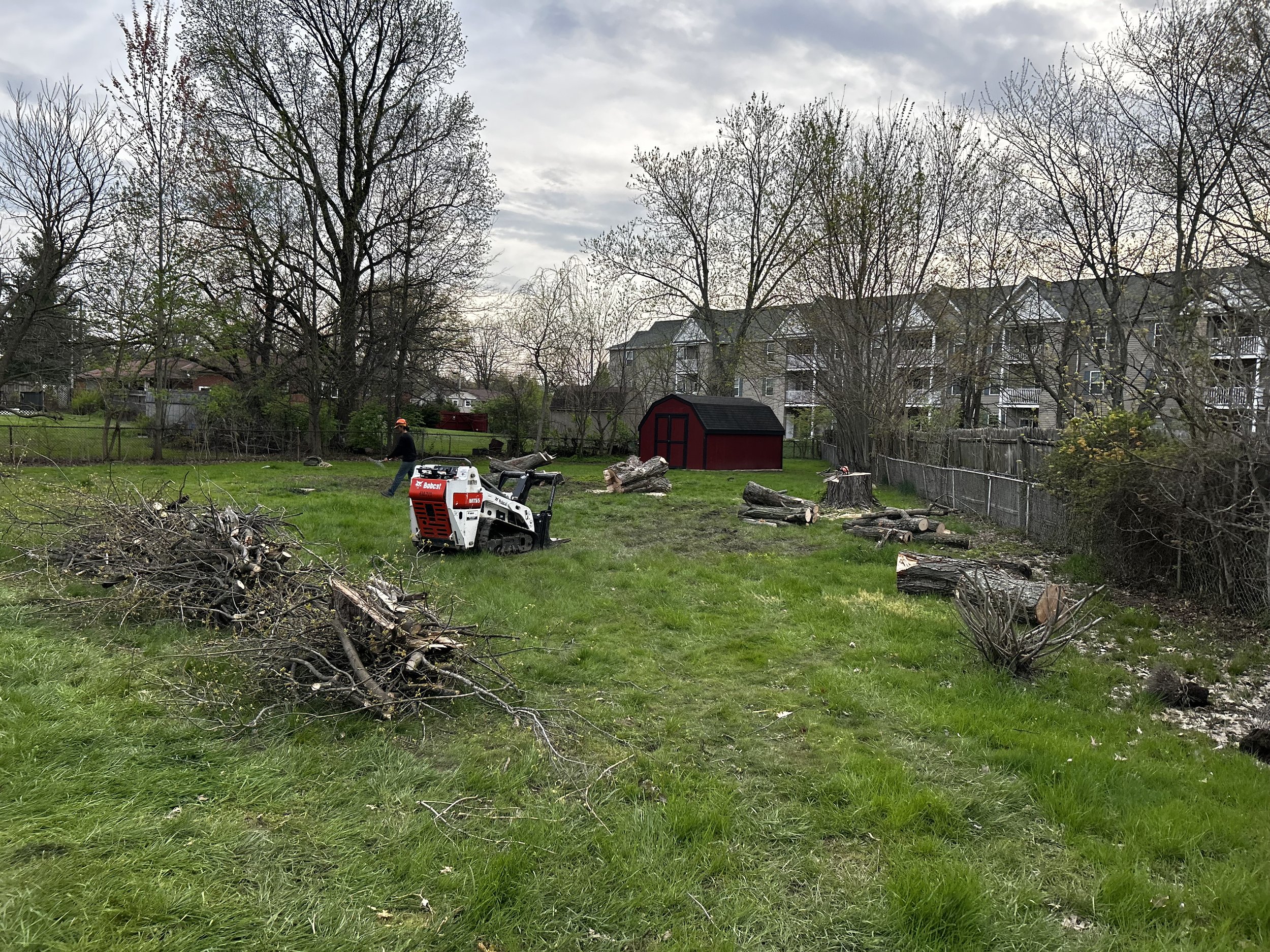 Tree removal in Anderson Township, Ohio