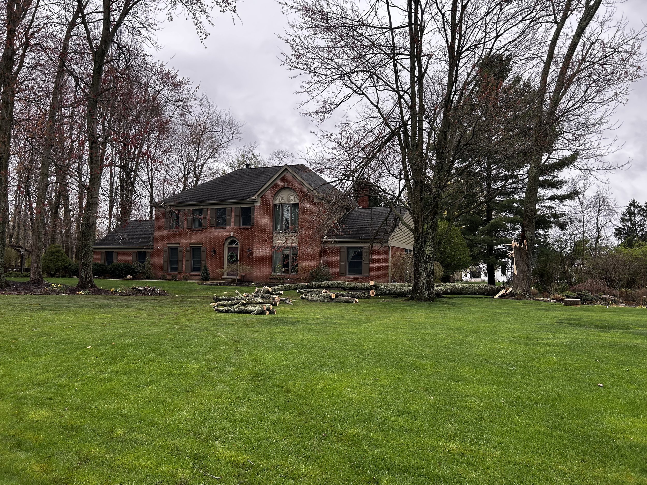 Emergency tree removal in Anderson Township, Ohio