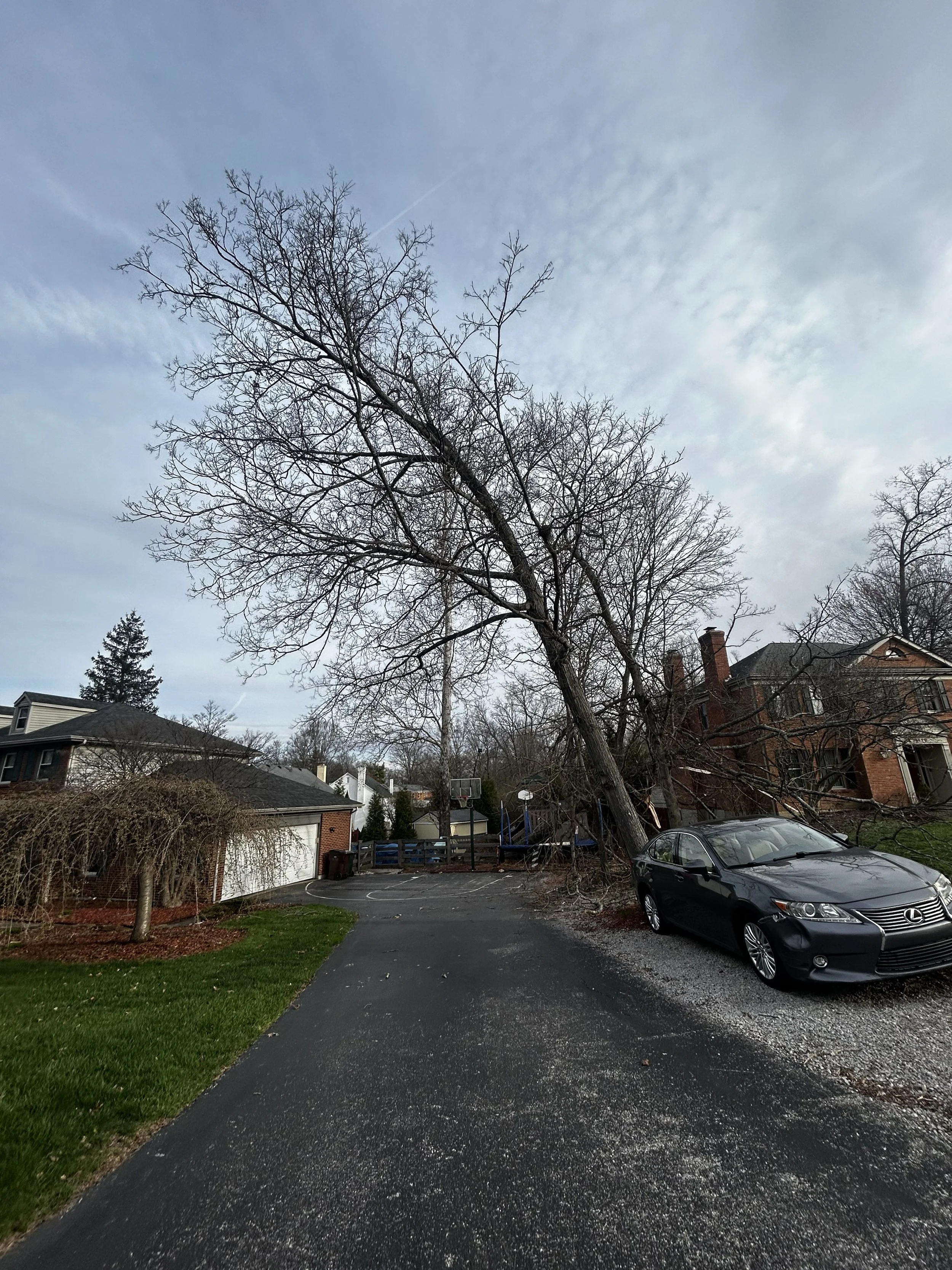 Hazard Mitigation Removal in Anderson Township 