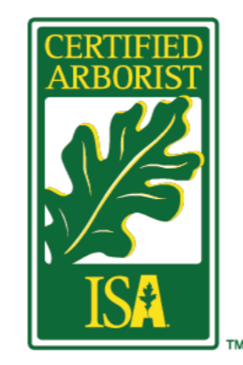 Queen City Arborists (QCA) — ISA Certified Arborist providing professional tree inspection, pruning, and removal in Cincinnati, Ohio. Certified arborists delivering science-based tree care and industry-standard safety practices.