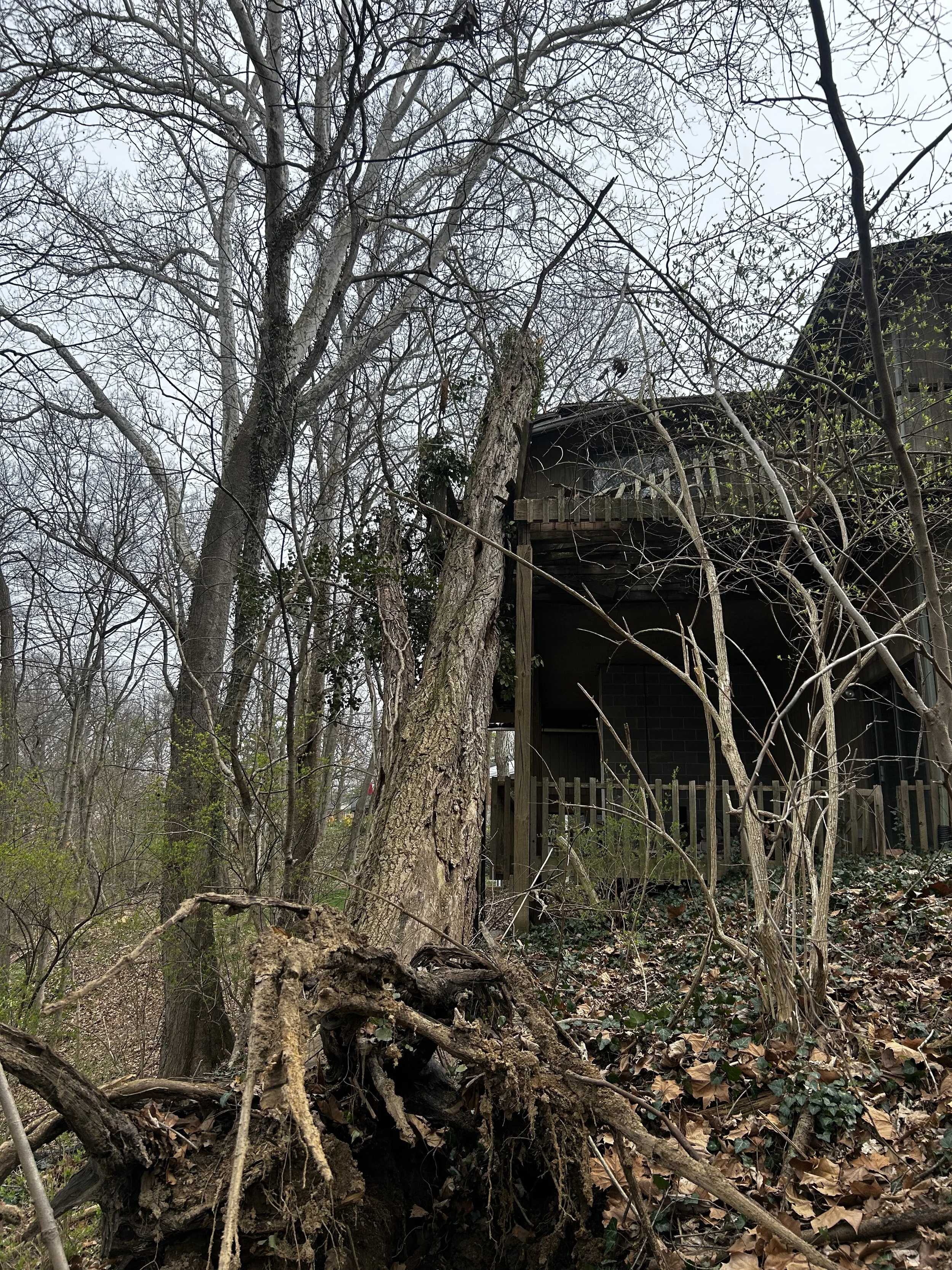 Emergency Response Removal in Anderson Township, Ohio