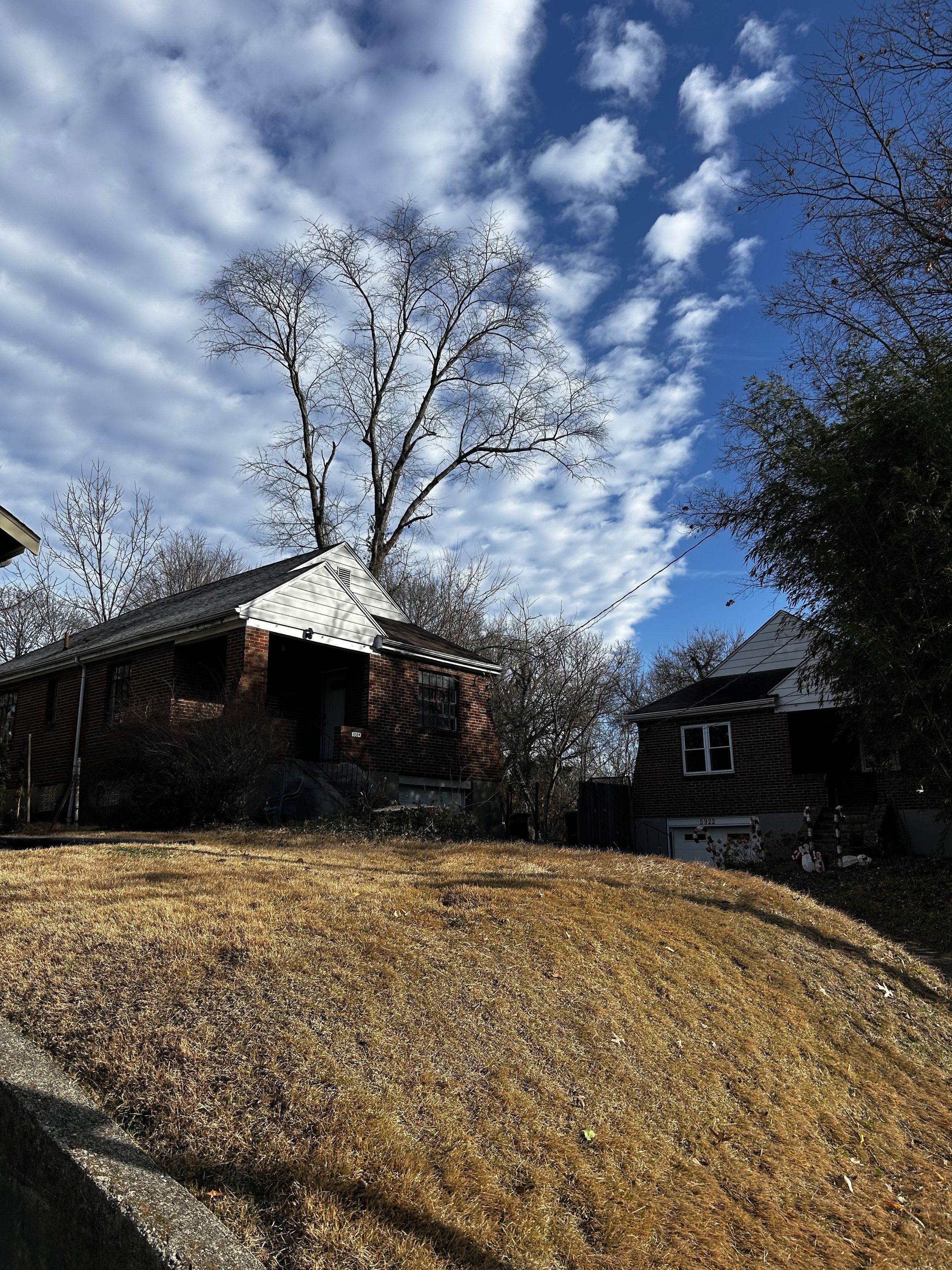 Hazardous tree removal in Cincinnati, Ohio
