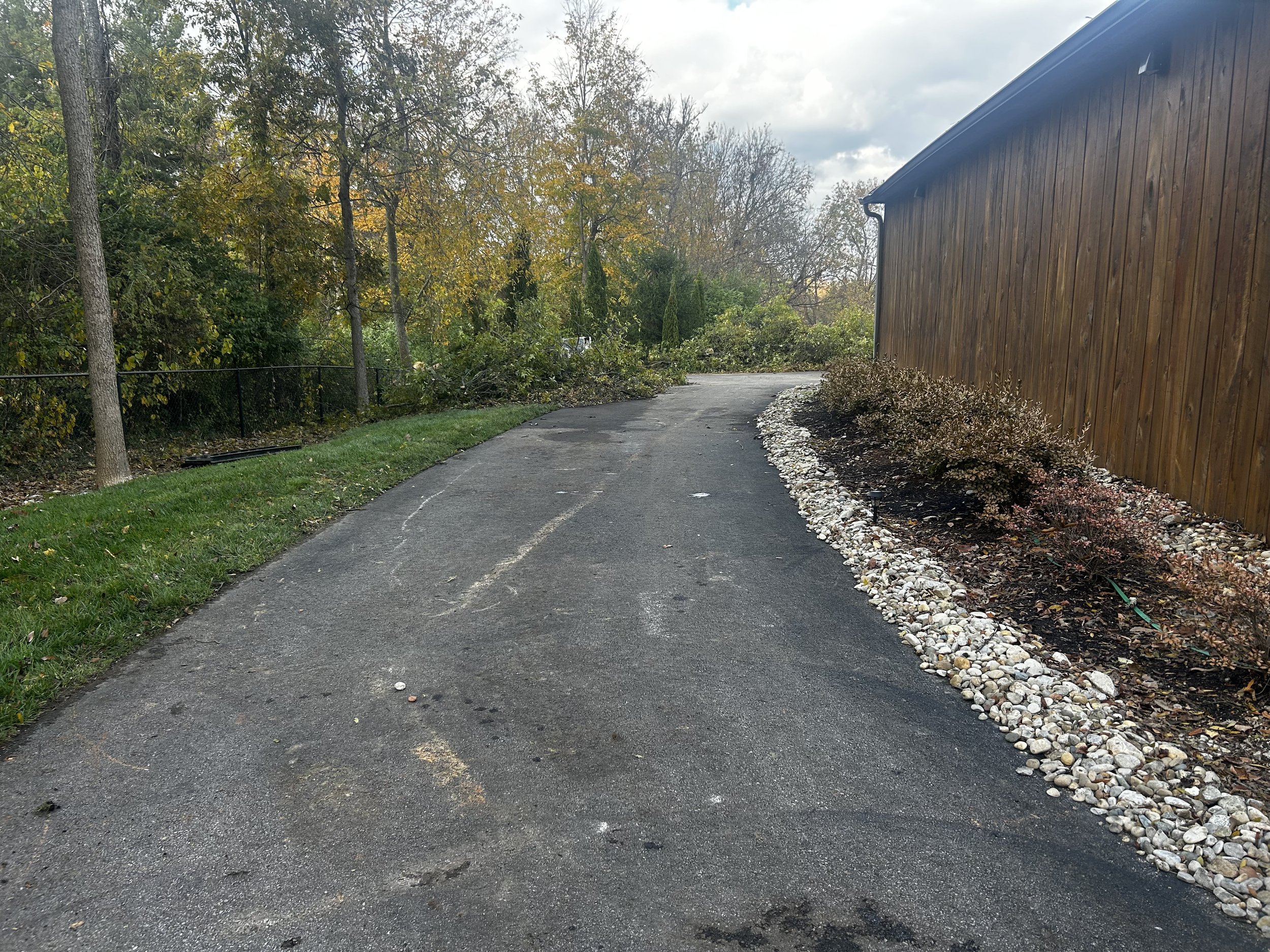 Emergency tree removal job in Indian Hill, Ohio