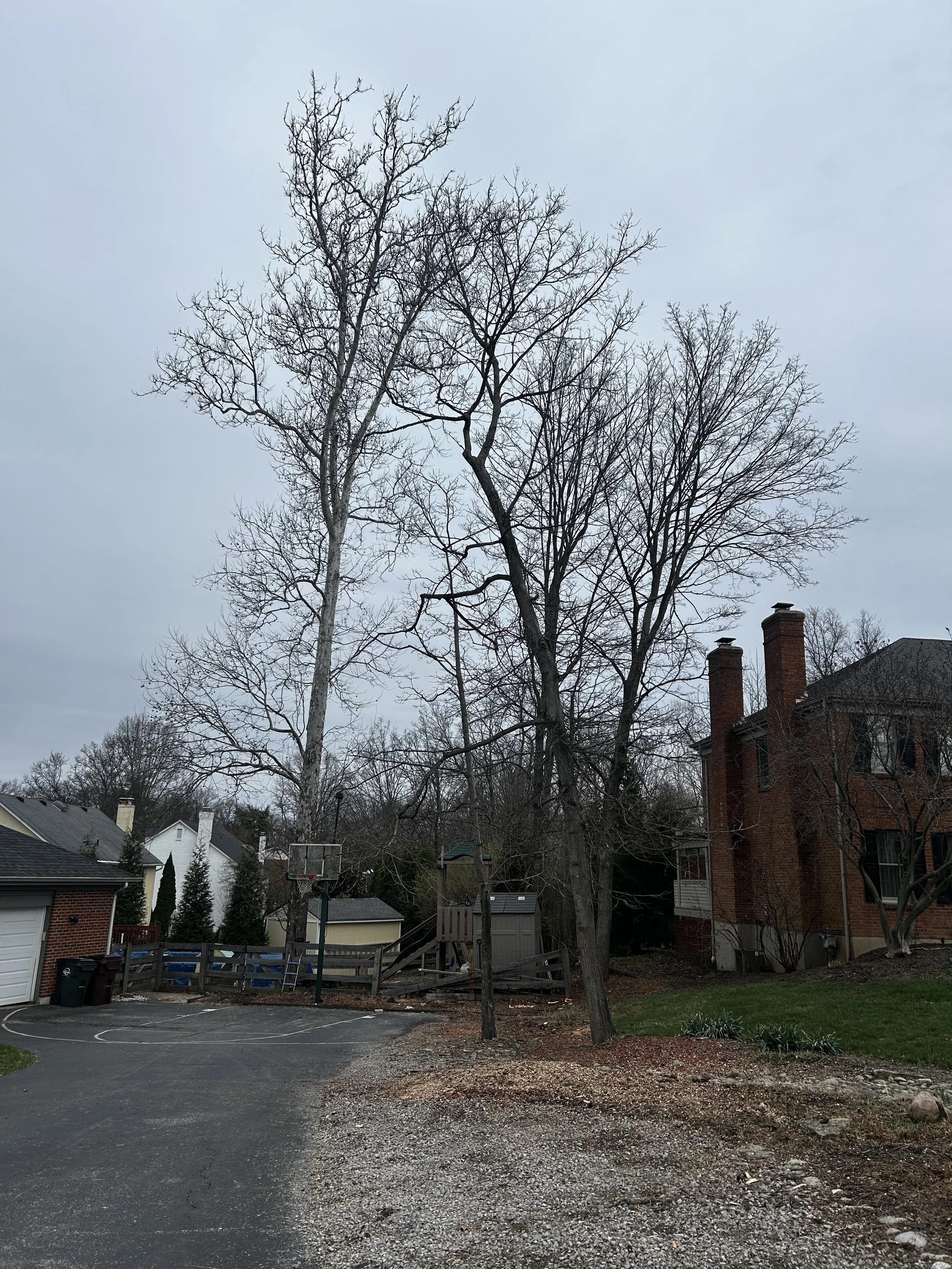 Hazard Mitigation Removal in Anderson Township 