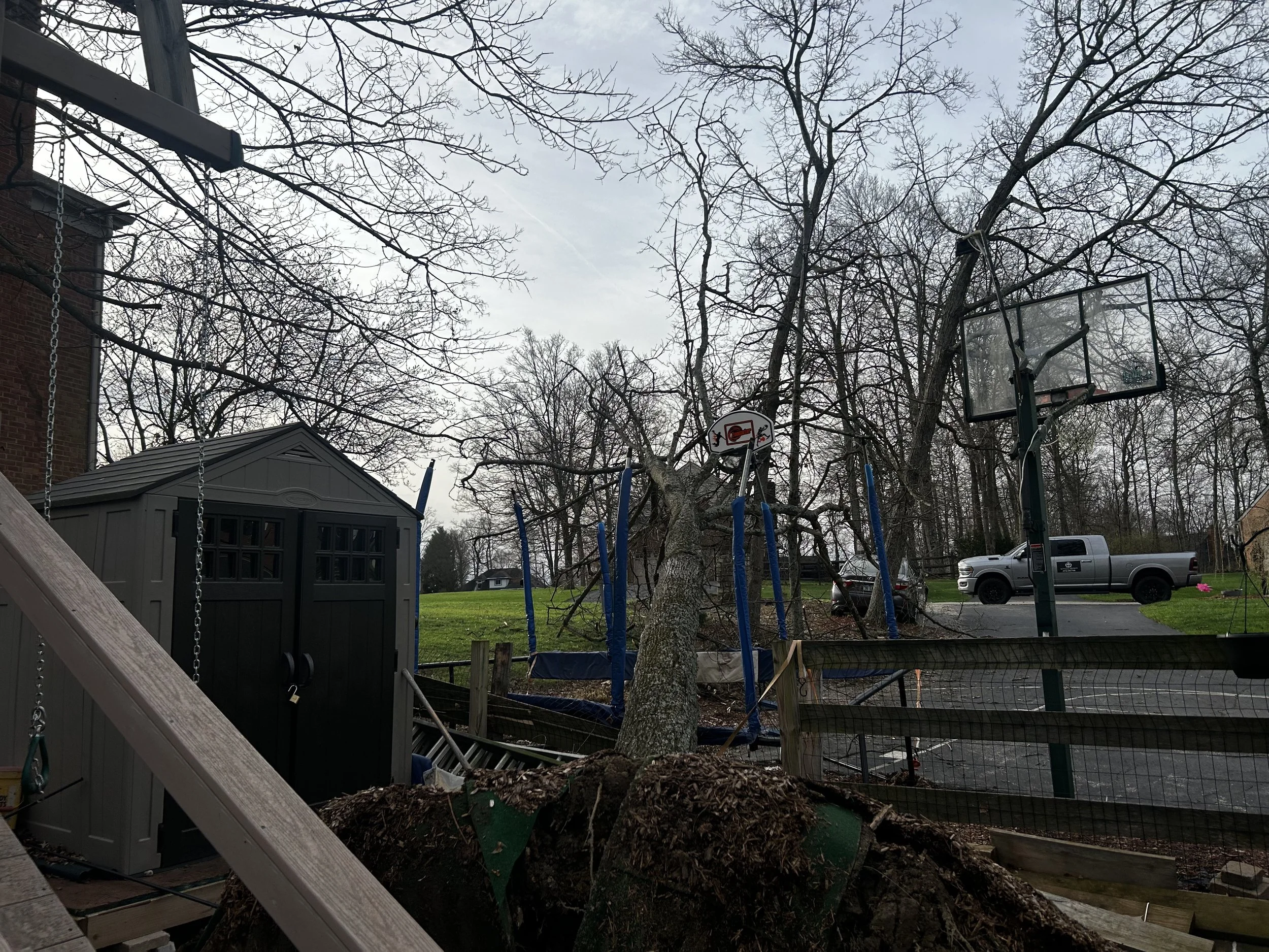 Emergency tree removal in Anderson Township, Ohio