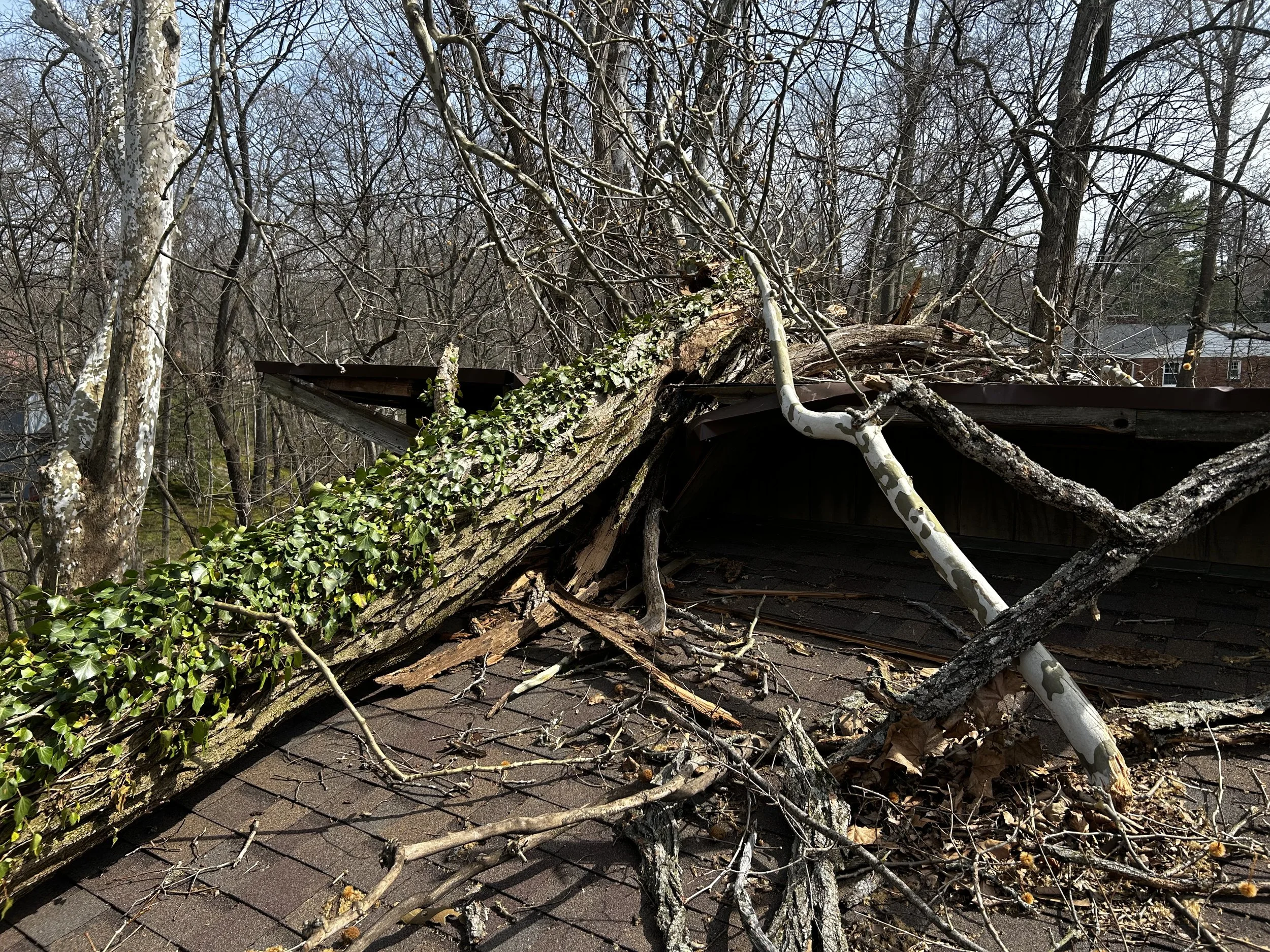 Emergency Response Removal in Anderson Township, Ohio
