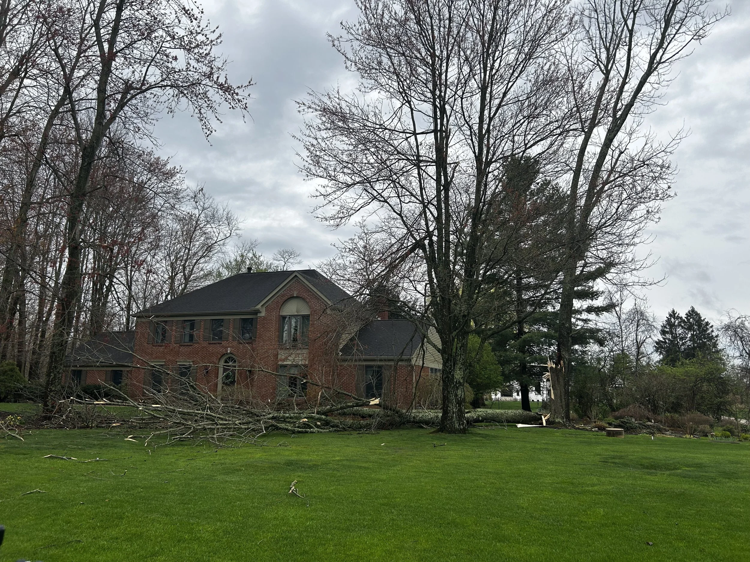Emergency tree removal in Anderson Township, Ohio