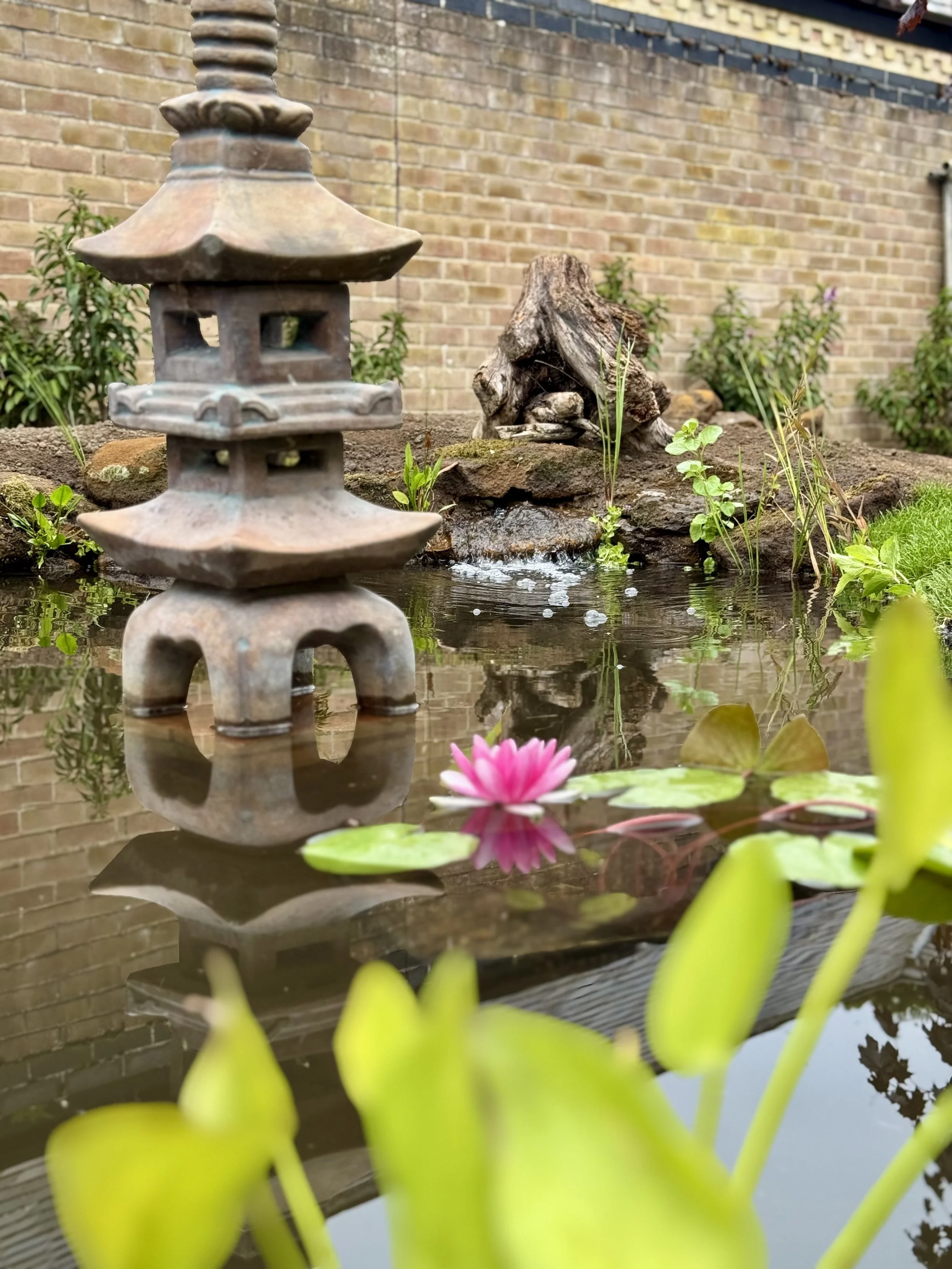 Natural Pond Installation in Bexwell – Built via FaceTime