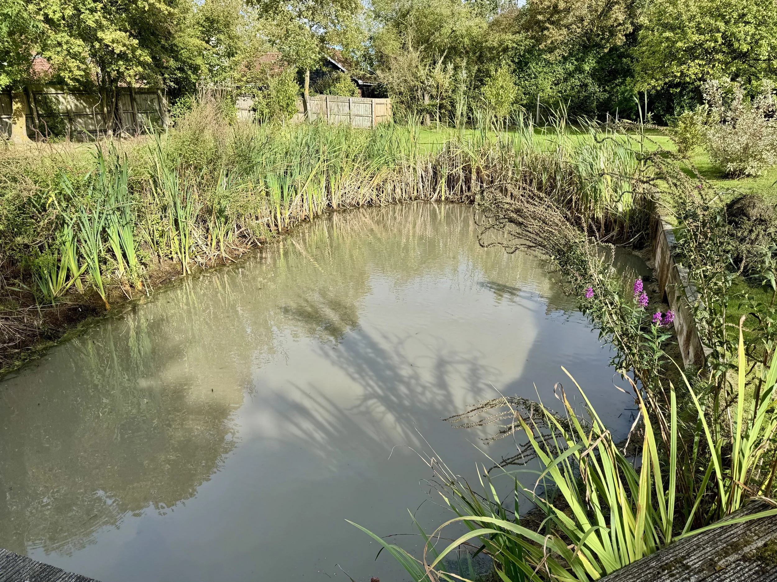 Pond Clearance in Eye, Suffolk: Restoring a Neglected Wildlife Pond