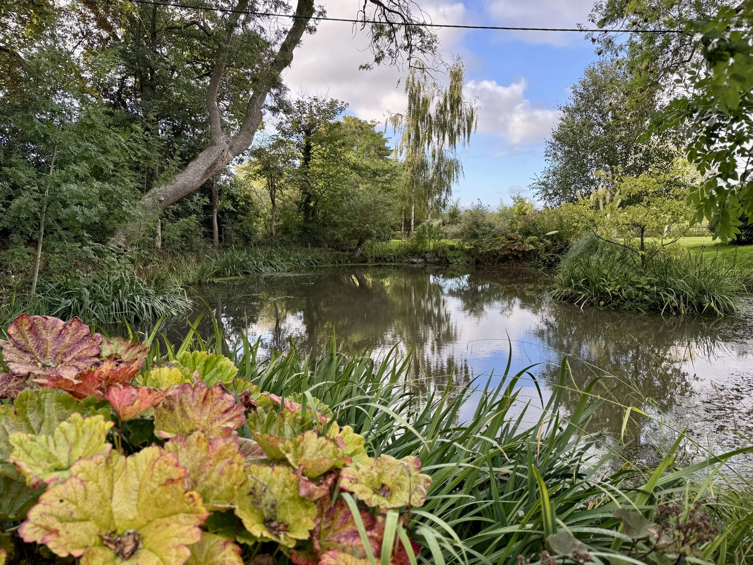 Large Pond Clearance & Maintenance in Norfolk