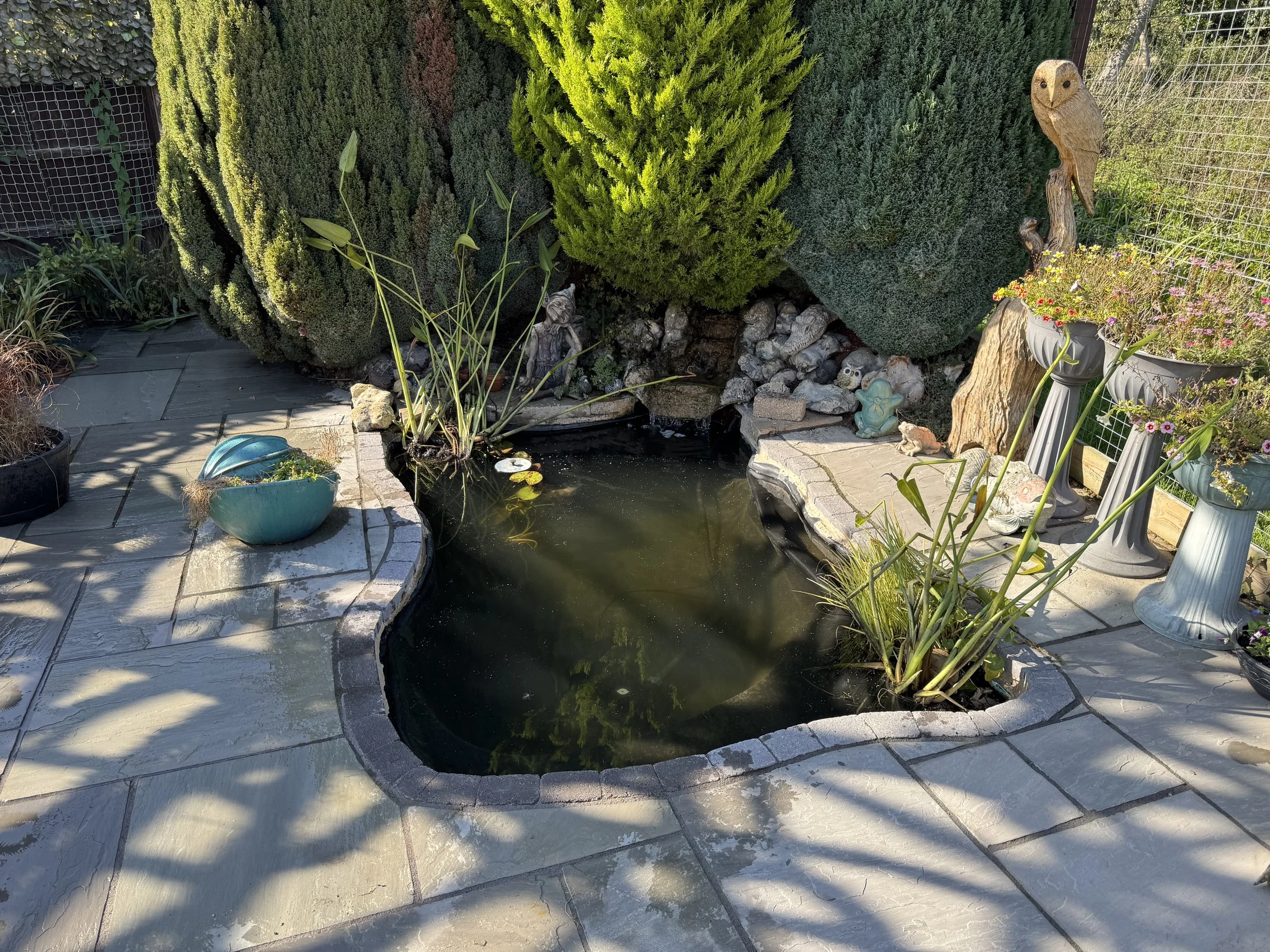 Small Pond Clearance & Restoration in Saham Toney, Norfolk