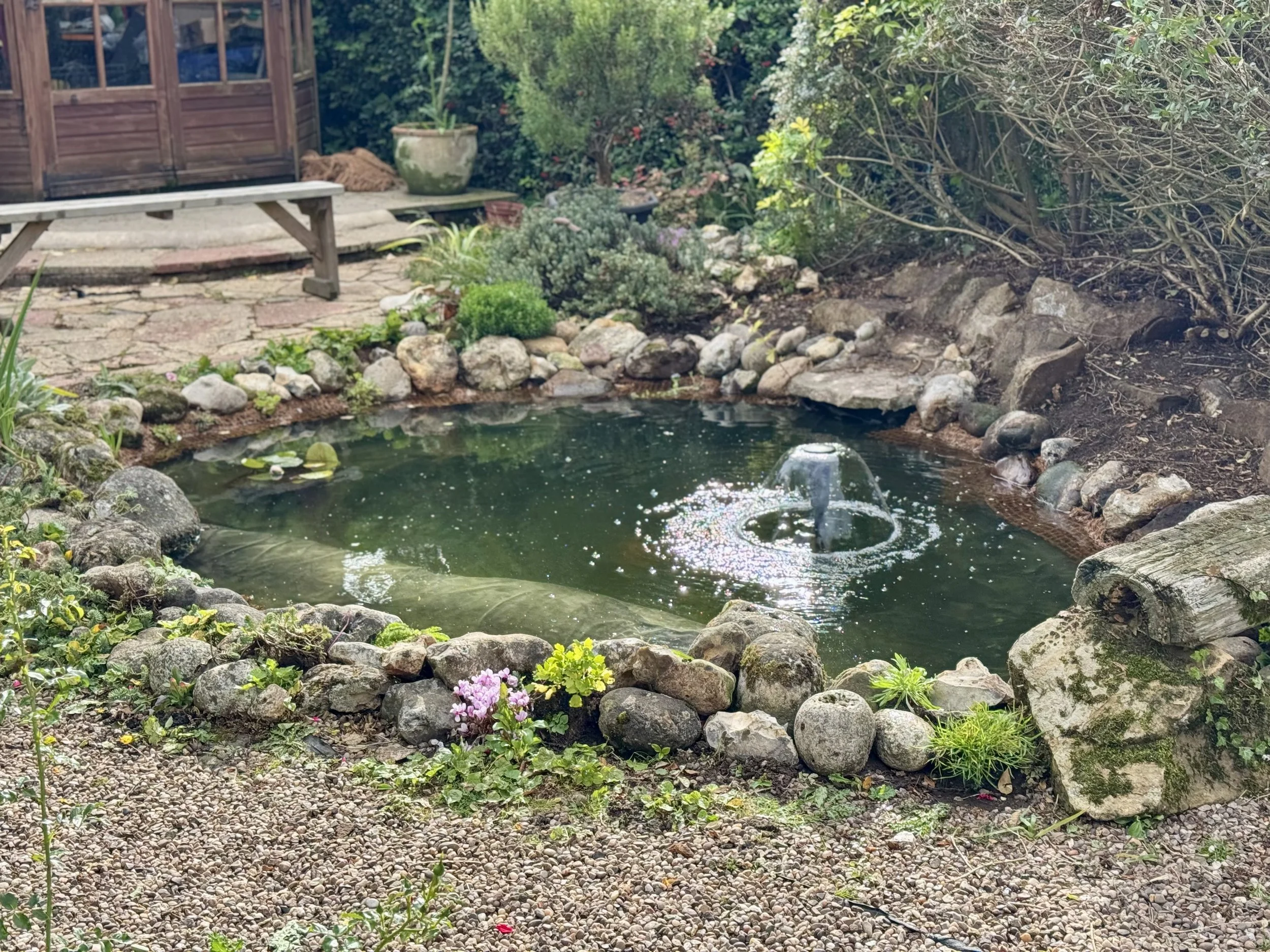 Pond Clean and Reline in King’s Lynn – When a Simple Job Turns into a Full Pond Rescue