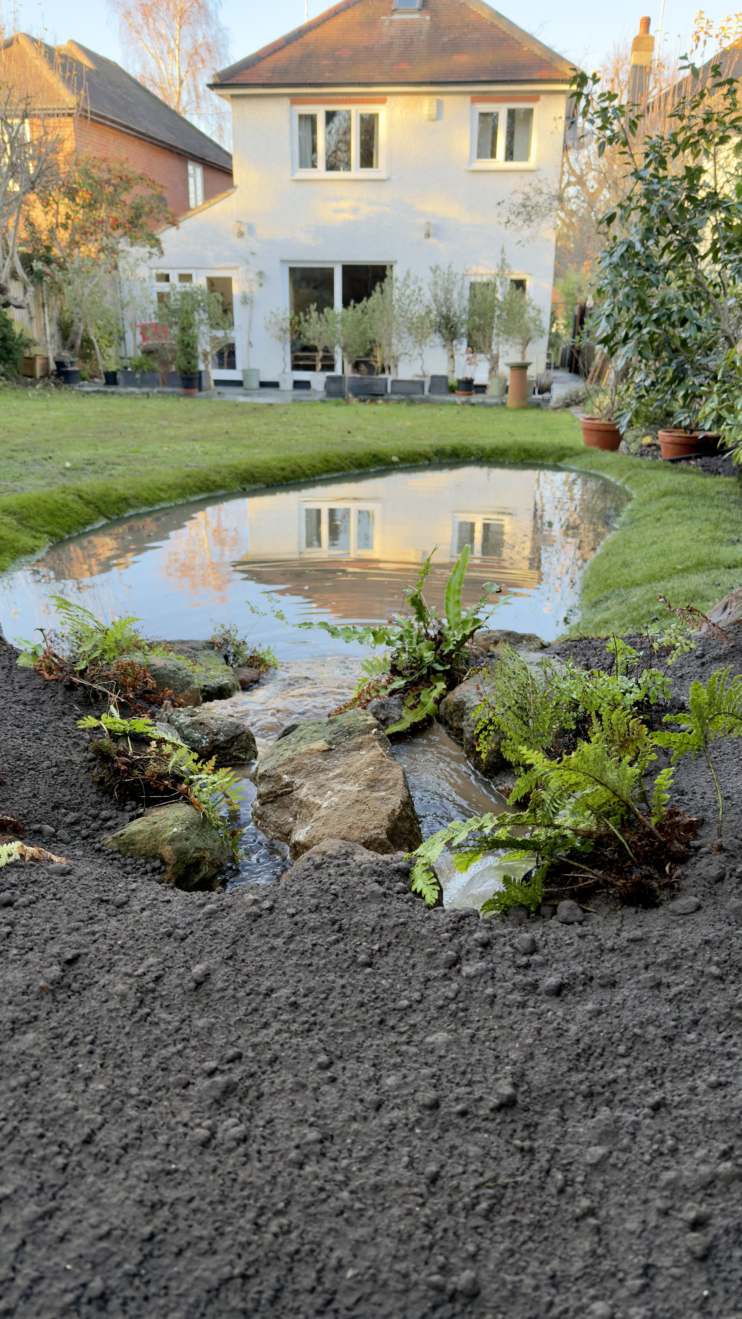 Natural Wildlife Pond Installation in Shenfield, Essex&nbsp;