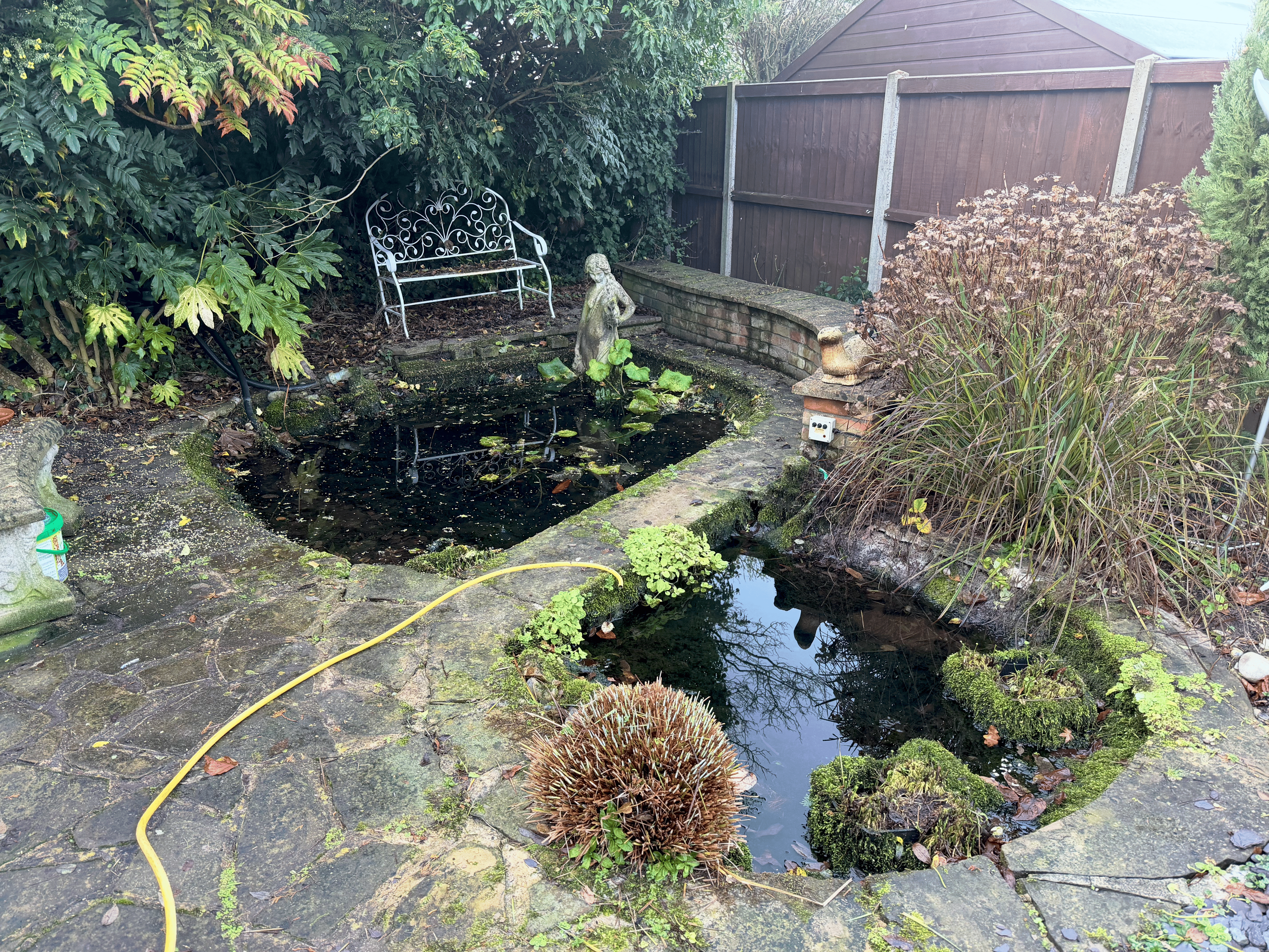 Pond Investigation in Tasburgh – Identifying the Cause of Major Water Loss