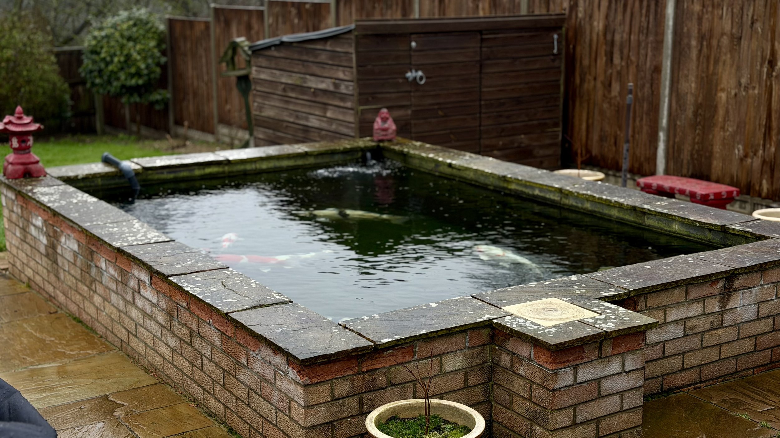 Koi Pond Rebuild in Cromer, Norfolk – Professional Installation Underway
