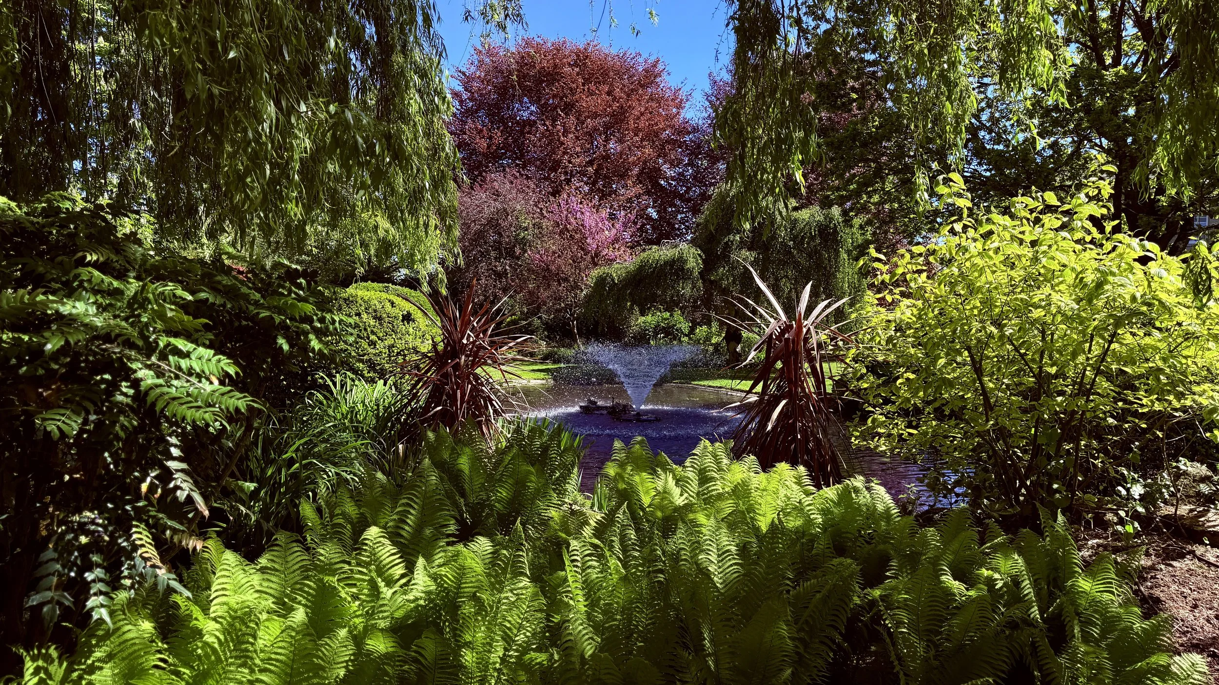 IMG_0812.jpeg