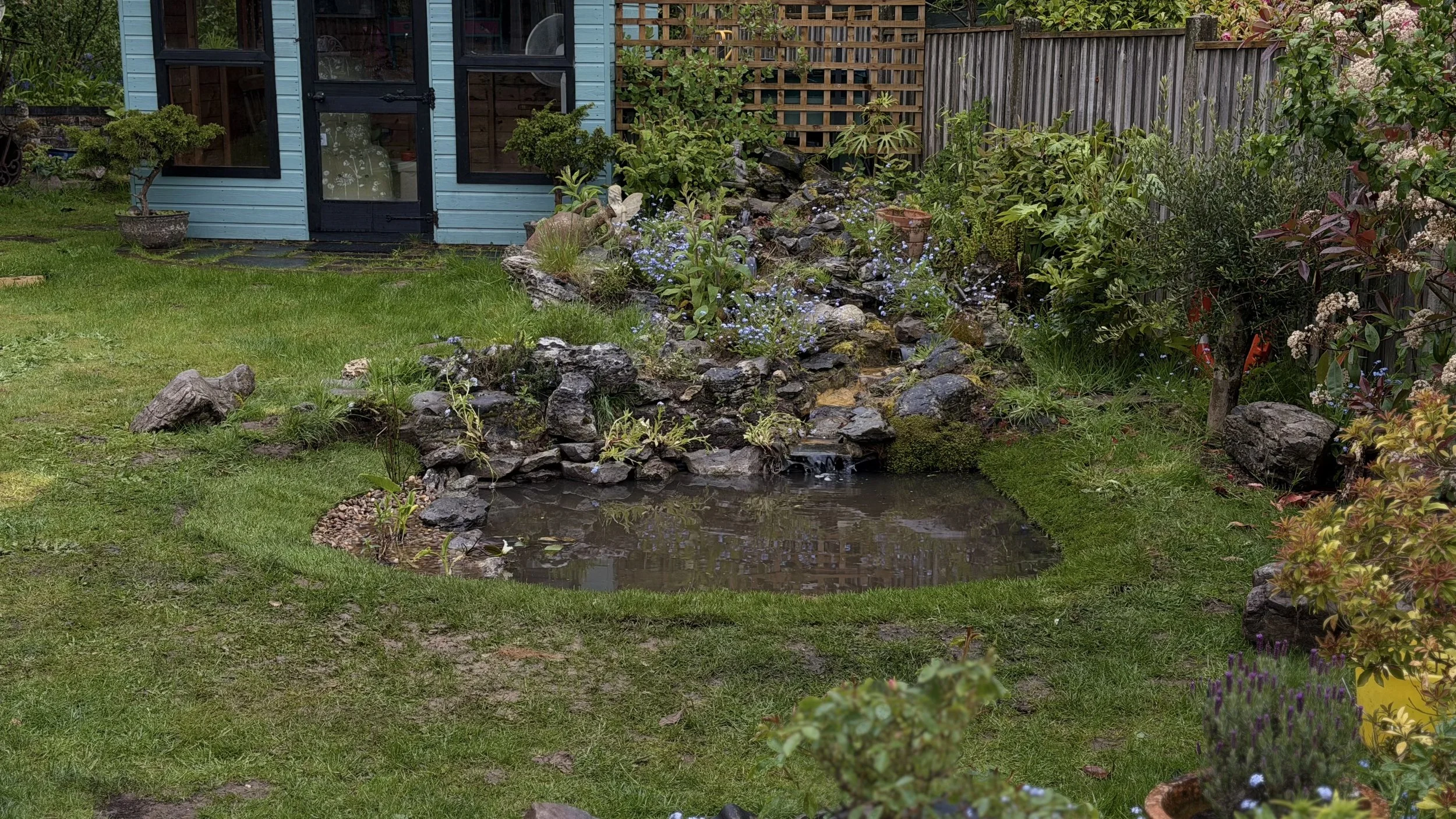 From Pond Disaster to Stunning Feature: A Complete Pond Refurbishment
