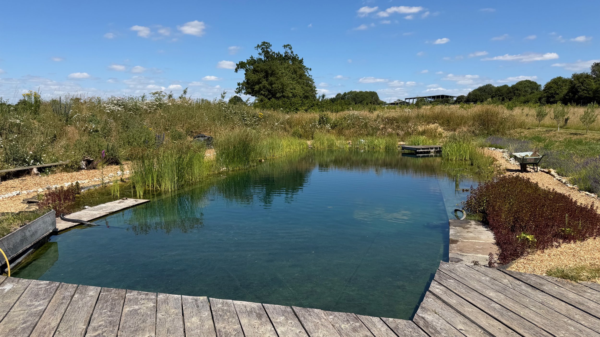 Swim Pond Maintenance in Norfolk | Restoring a Swim Pond Through Expert Care