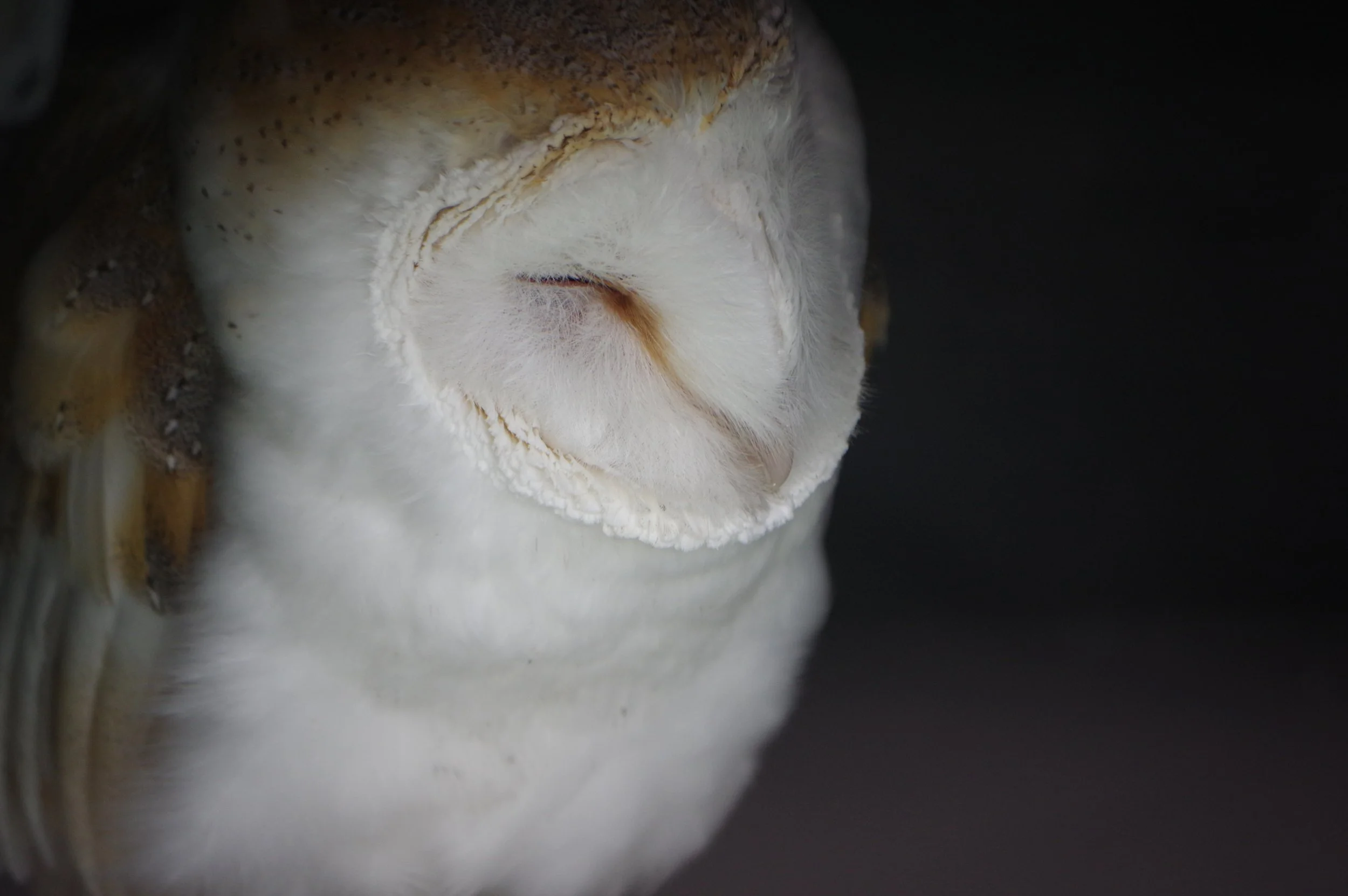 Nature Connected Exhibition