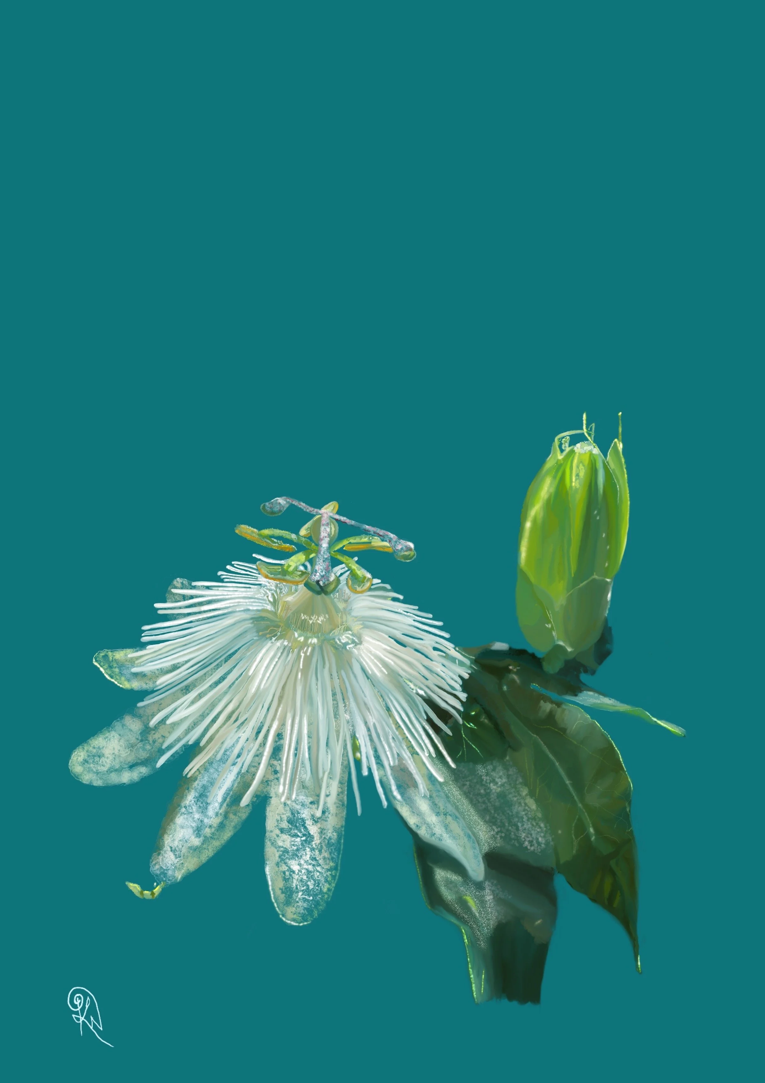 Creating With Nature