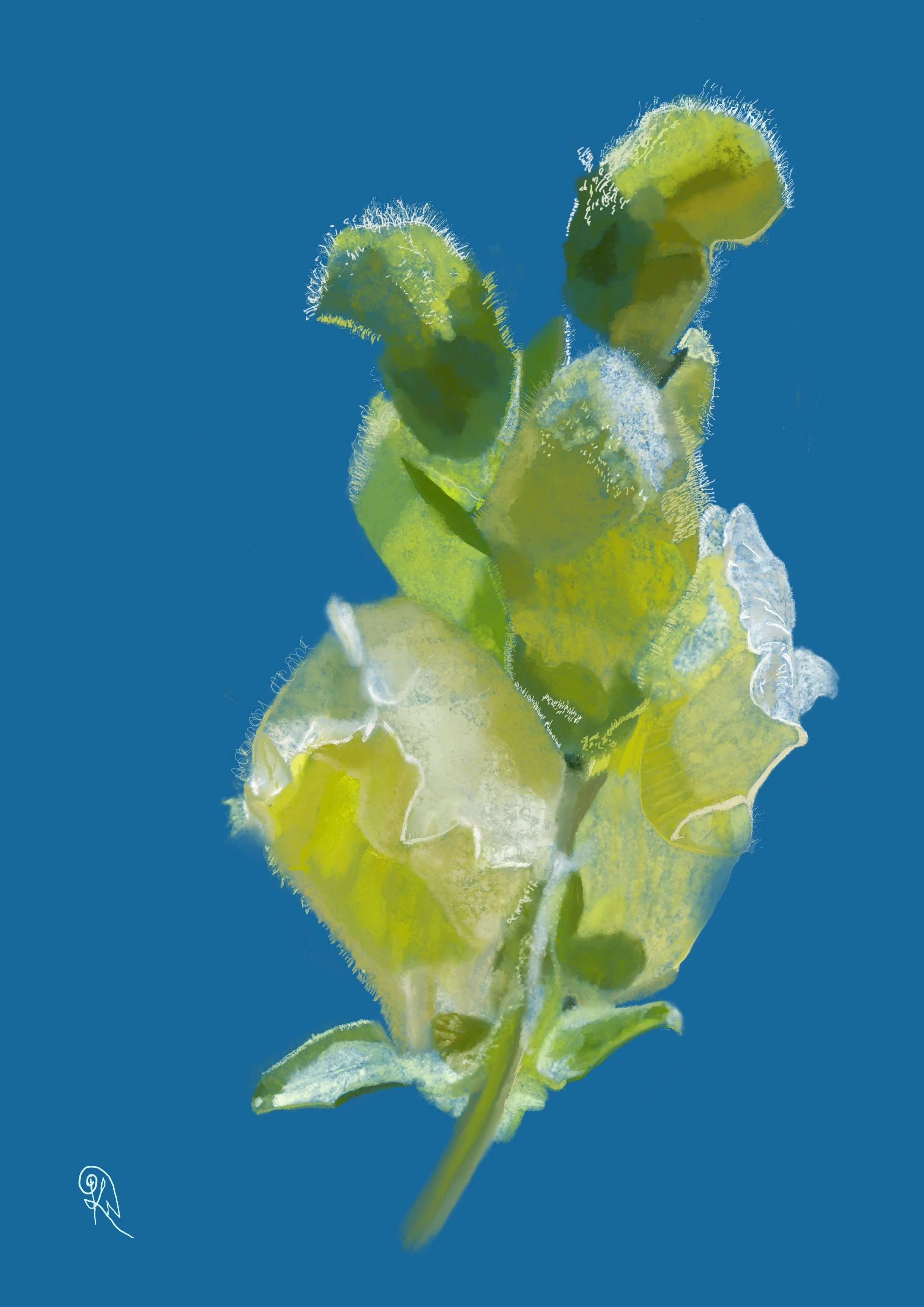 Afternoon's Lull — original artwork detail showing snapdragon buds, warm tonal light easing into rest, the blue of a Mediterranean sky.