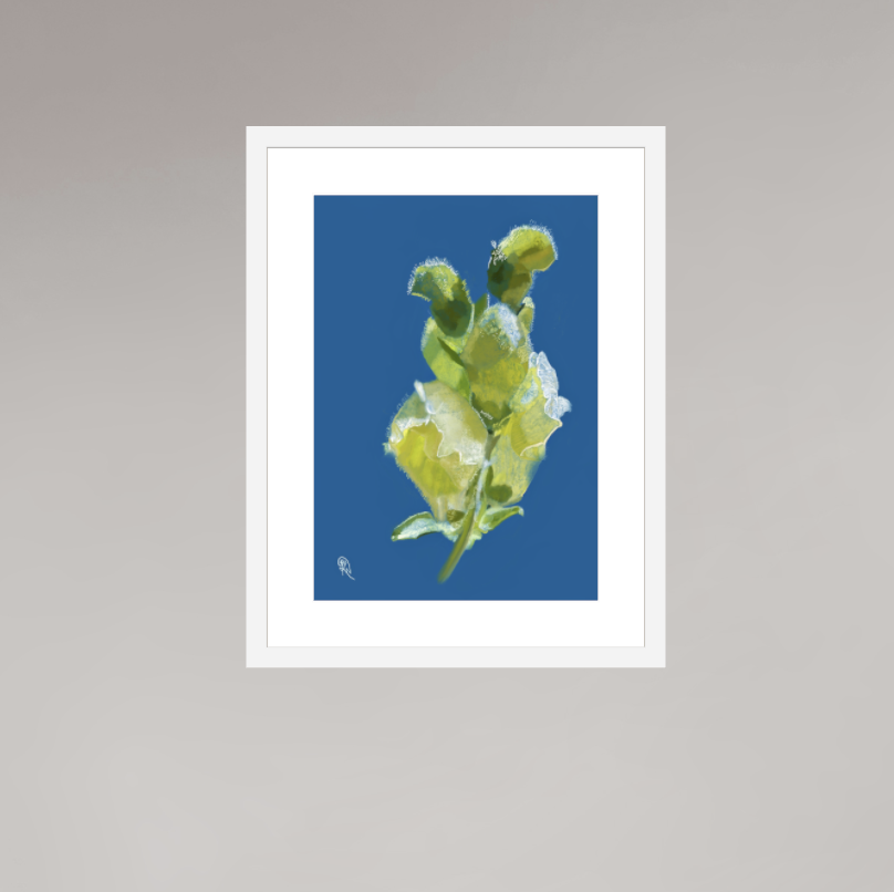 Afternoon's Lull — Original Glimmer Series 2026 | Kerrie Neale | Light held in botanical prints