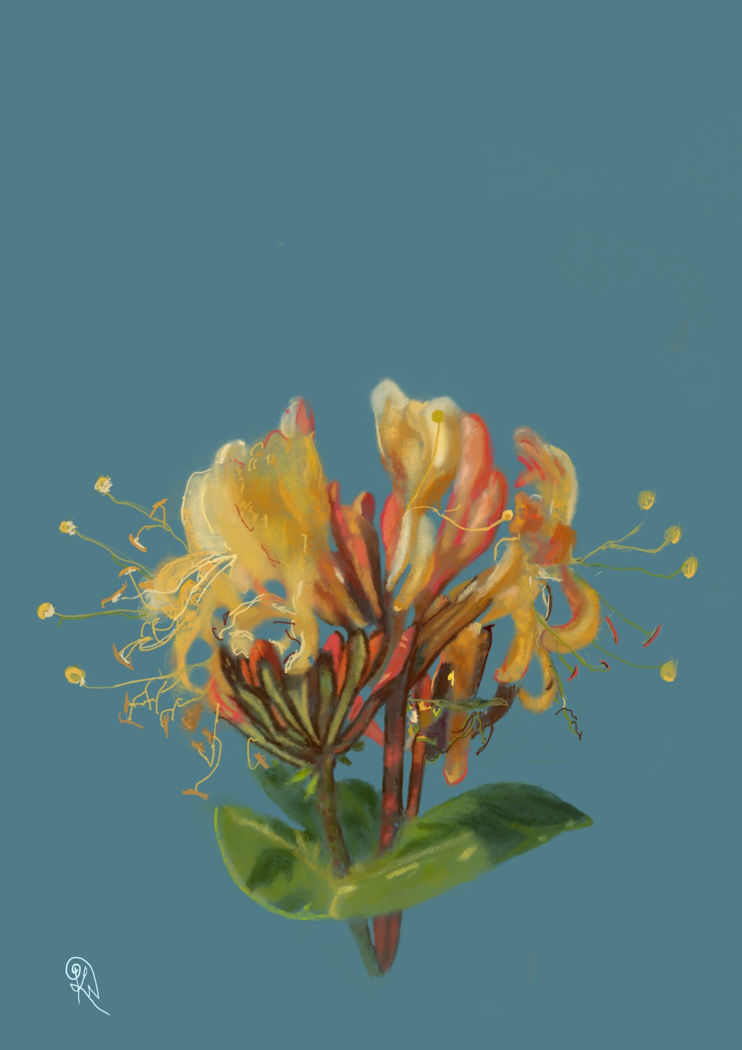 Evening's Exhale — original artwork detail showing honeysuckle releasing the last warmth of the day, stamens dancing their final whimsical bow.