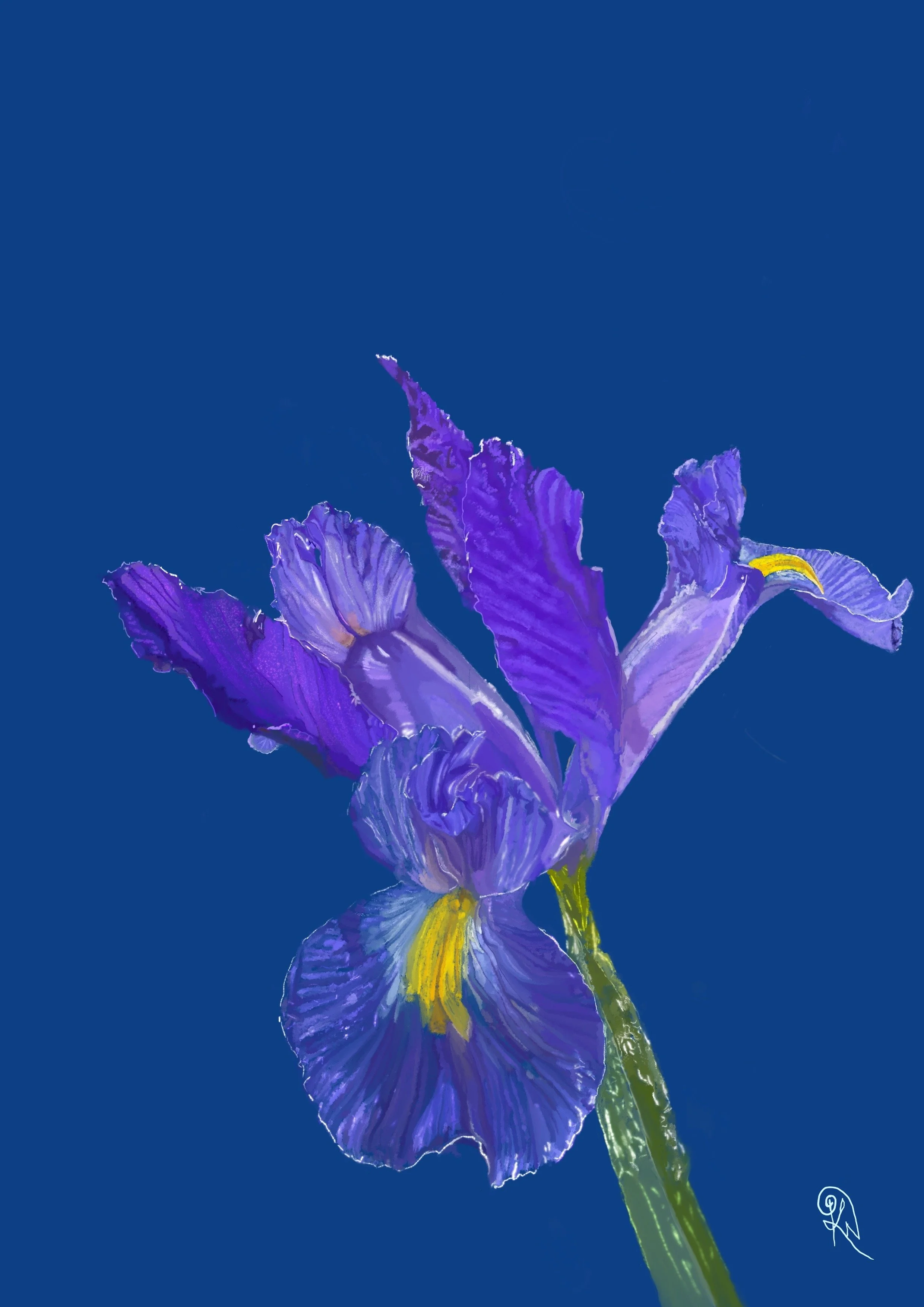 Dawn's Unfolding — original artwork detail showing the iris and chiaroscuro light of early morning.