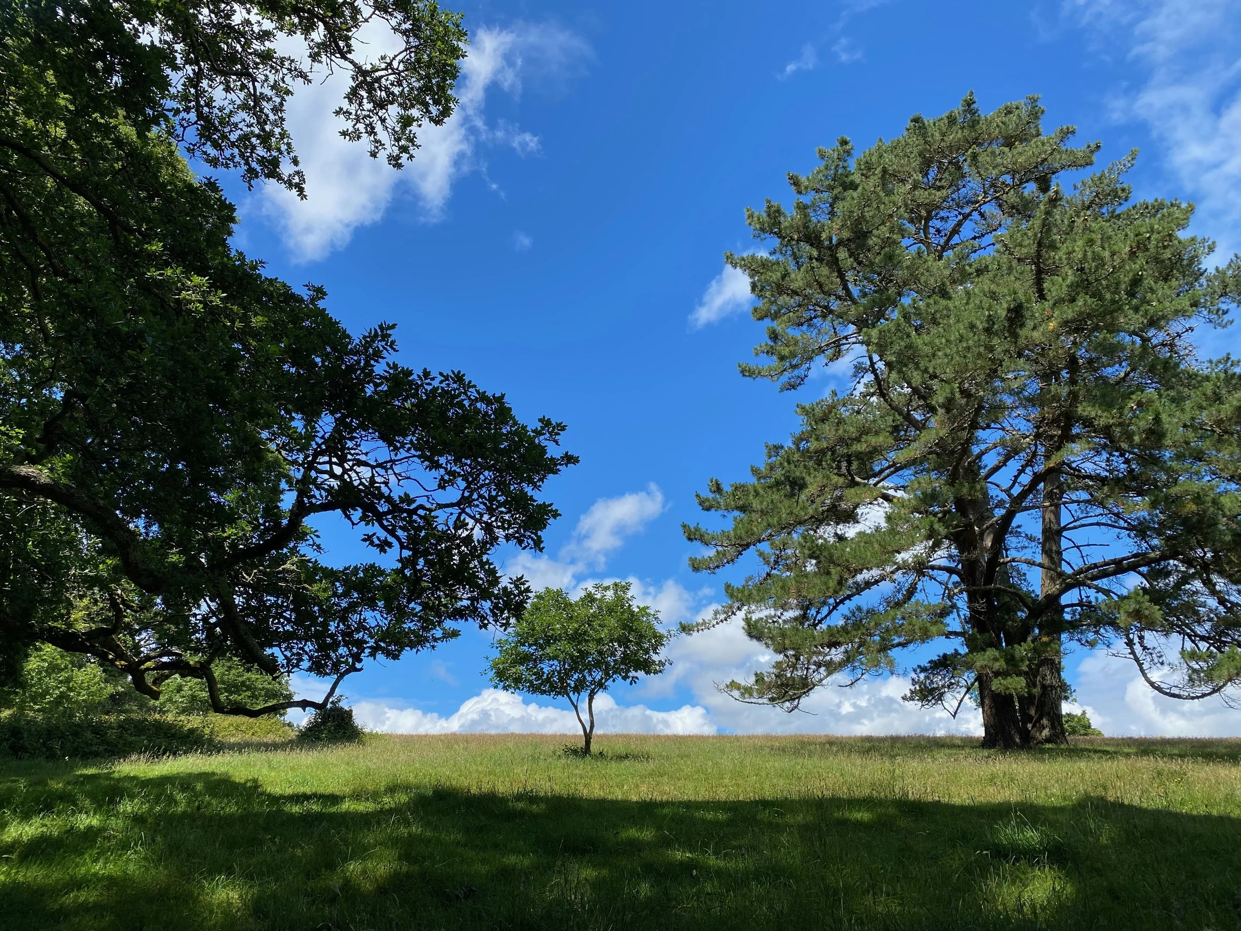 Nature connected coaching for creativity and growth — Glimmer Garden Coaching