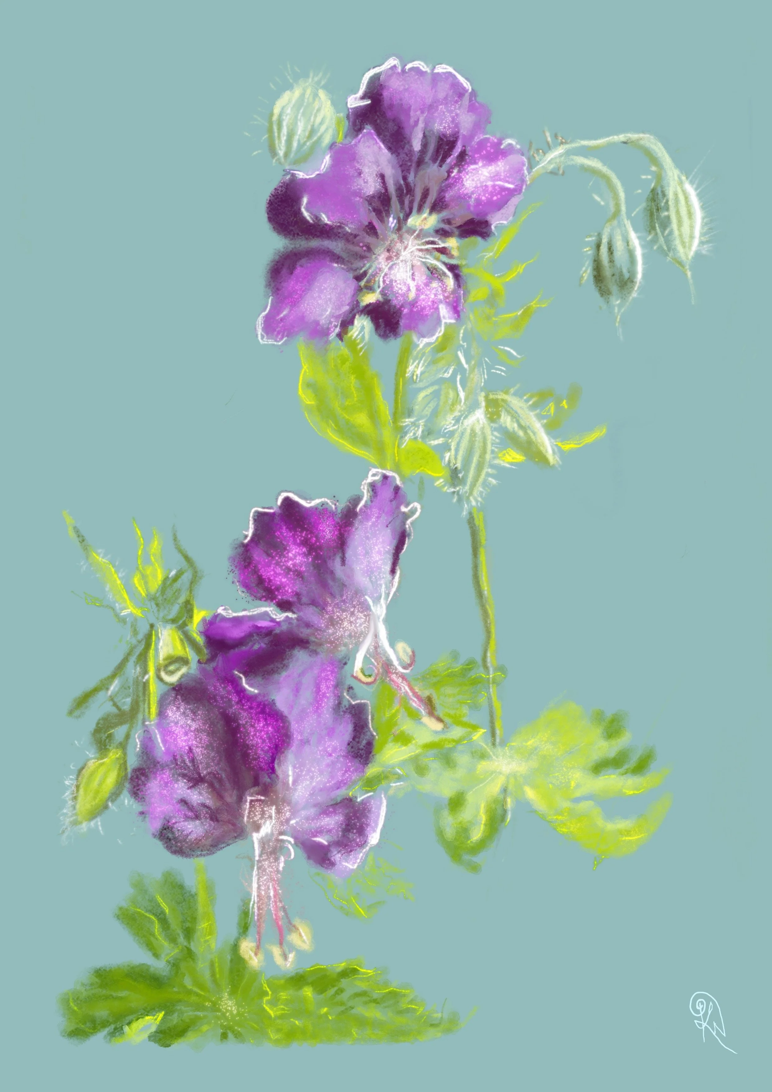 Morning's Warming — original artwork detail showing the purple geranium carrying the warming light of morning.
