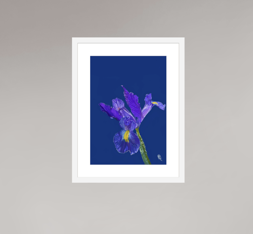 Dawn's Unfolding — Original Glimmer Series 2026 | Kerrie Neale | Light held in botanical prints