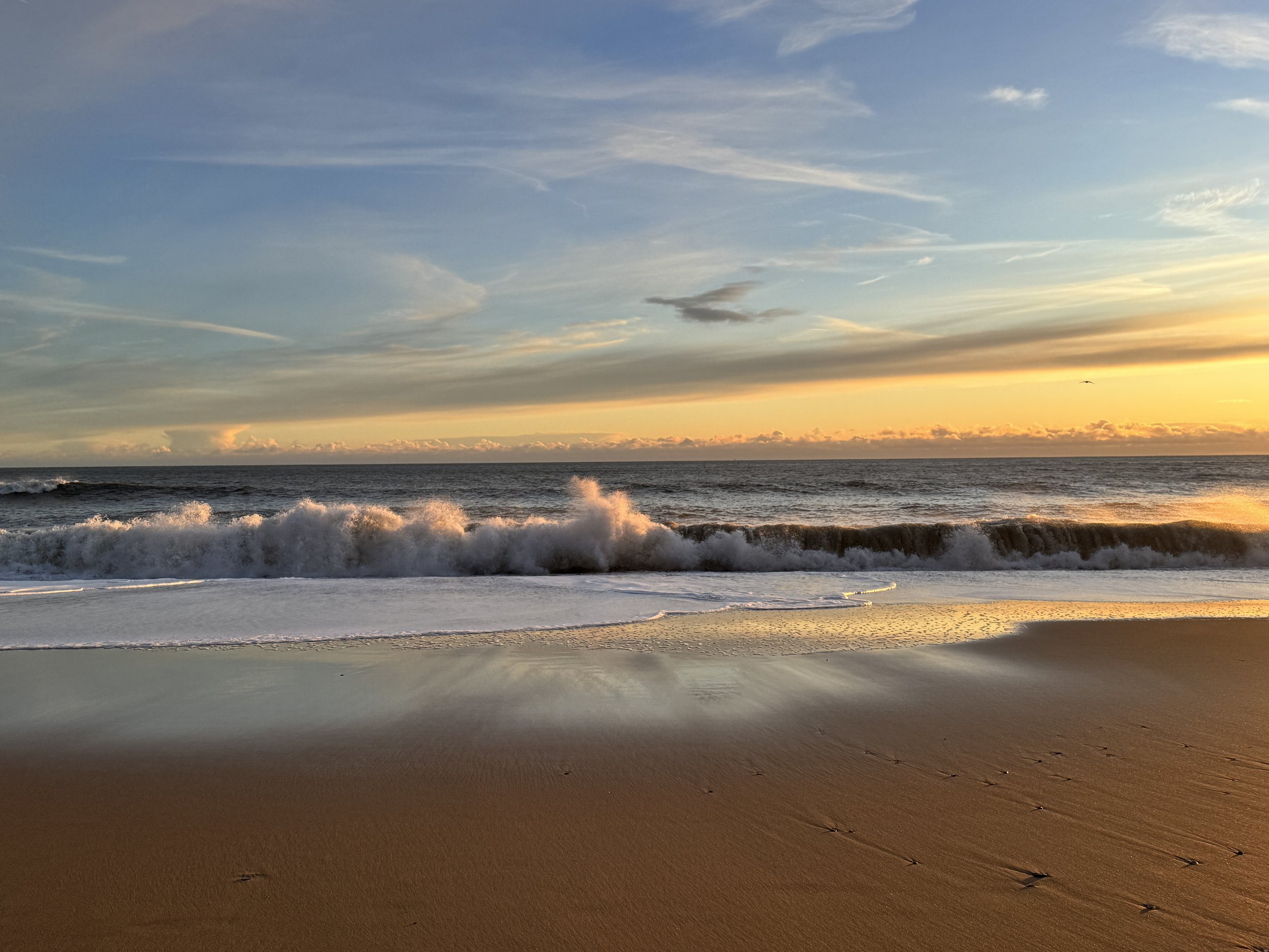 Arc Series - Nature Connected Workshops