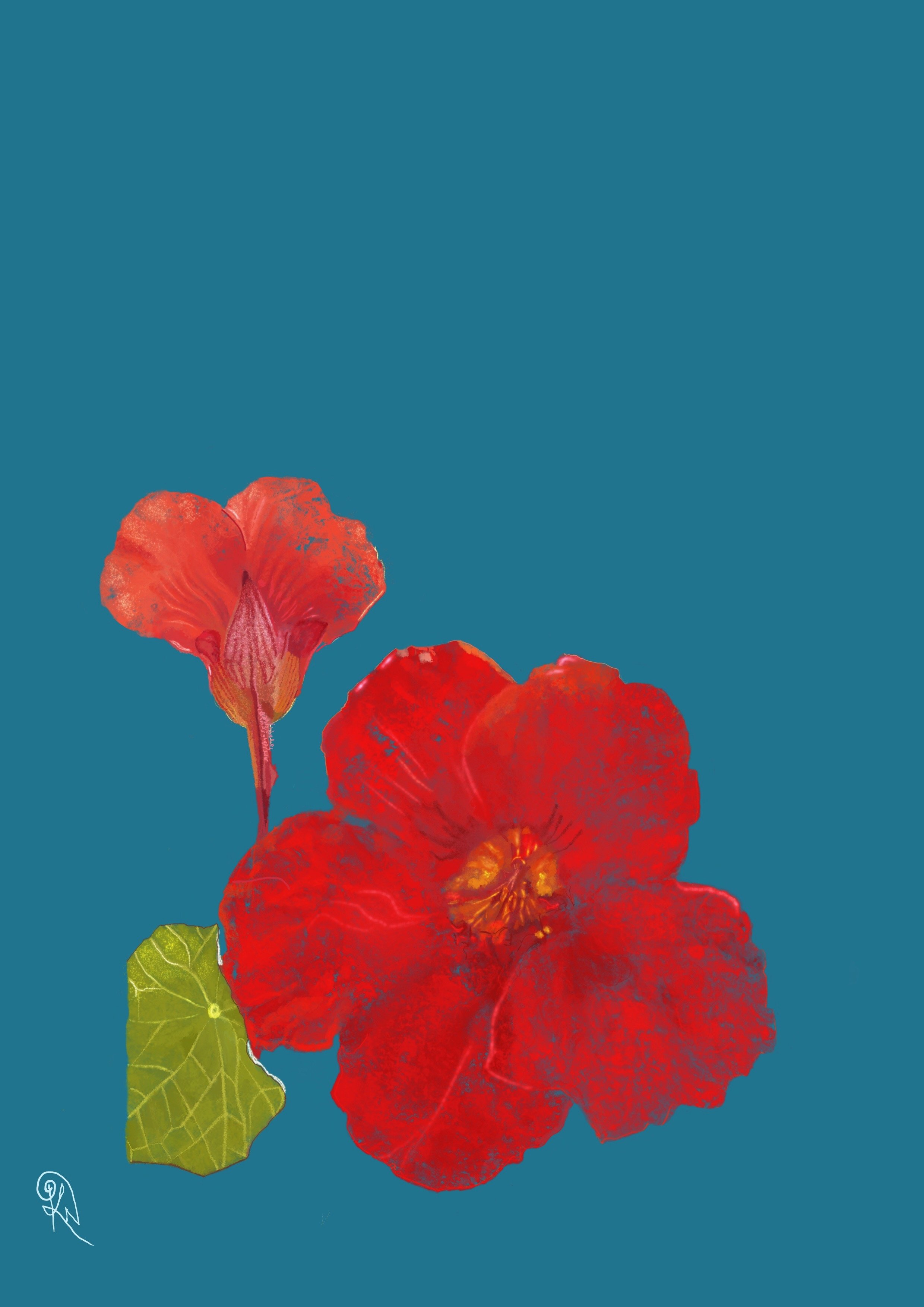 Evening's Glow — original artwork detail showing nasturtium backlit by the last of the day, a burning centre as sunlight makes its final pairing.