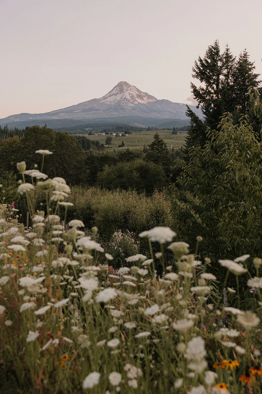 Emily&Malia_MtHoodOrganicFarms_JenJonesWeddings2026-710.jpg