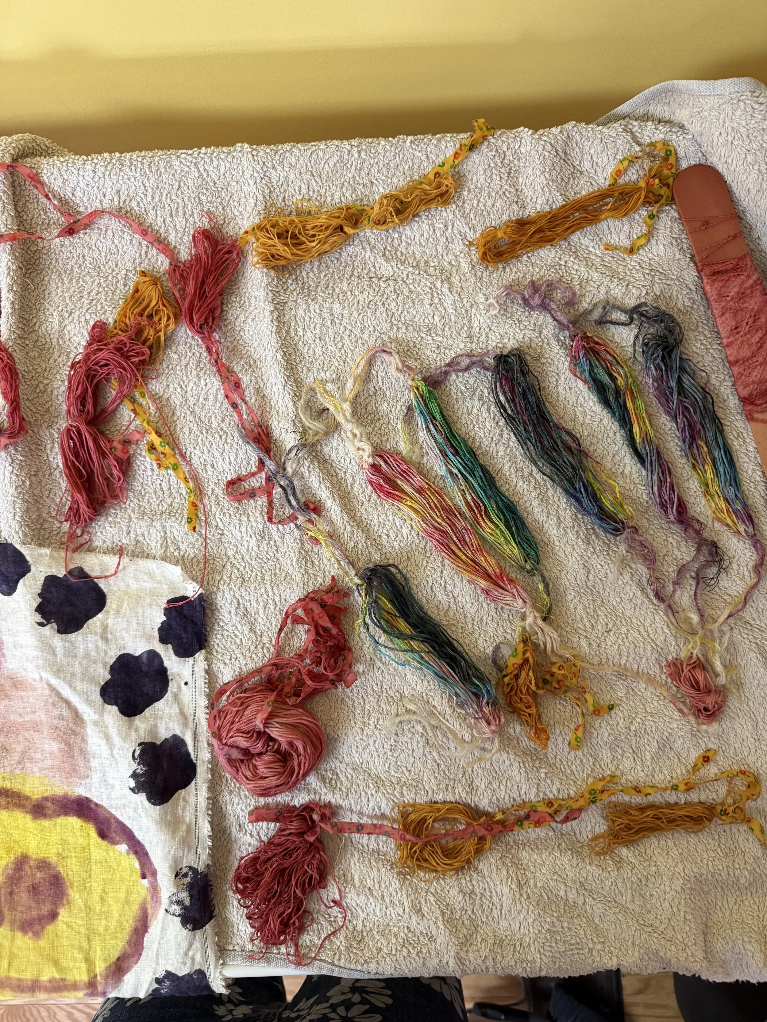 Hand dyed yarns for my Catskills Crafting Club members. 