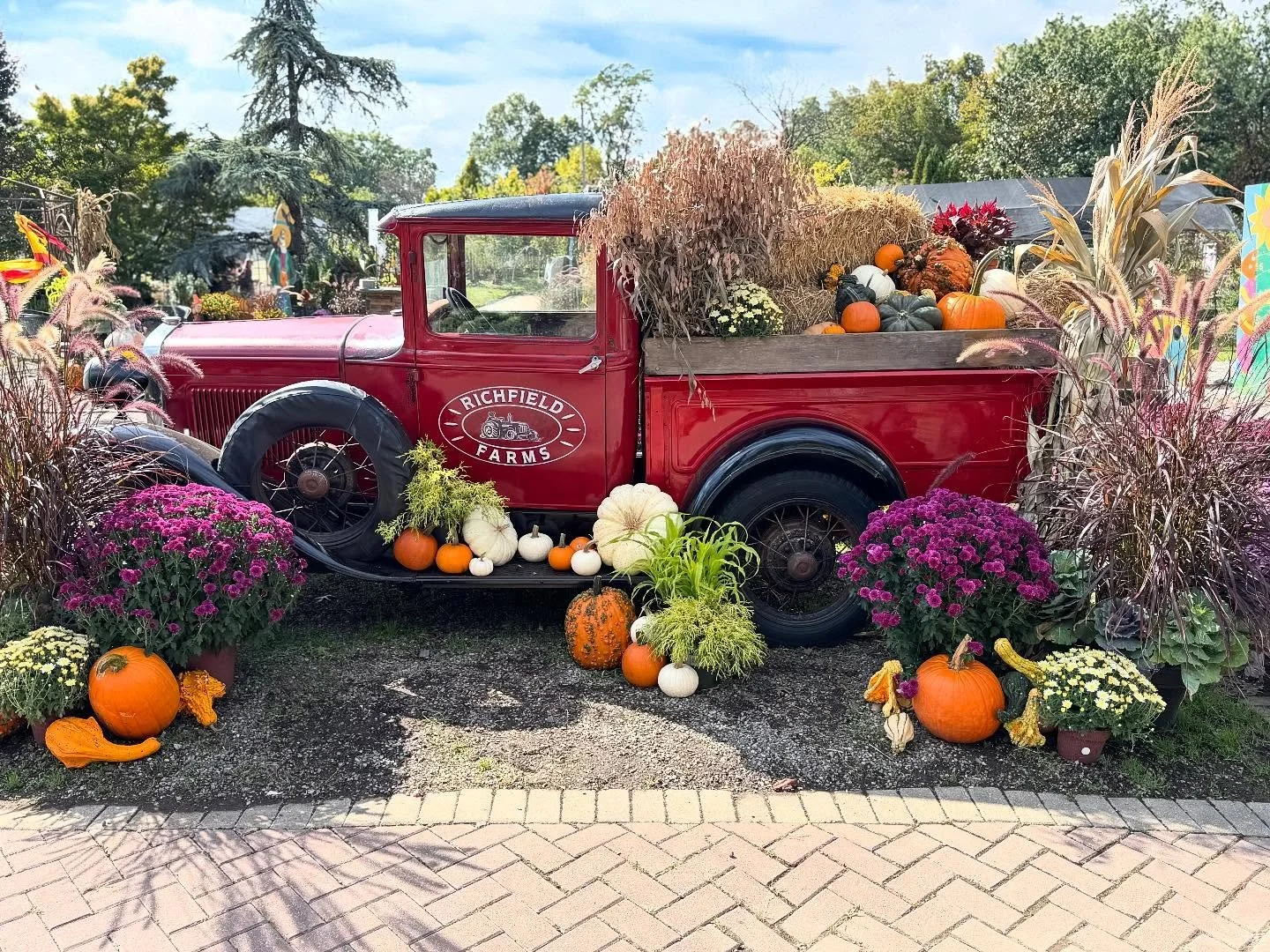 Ole Sammy! Our gorgeous display is available at the farm this holiday season ✨