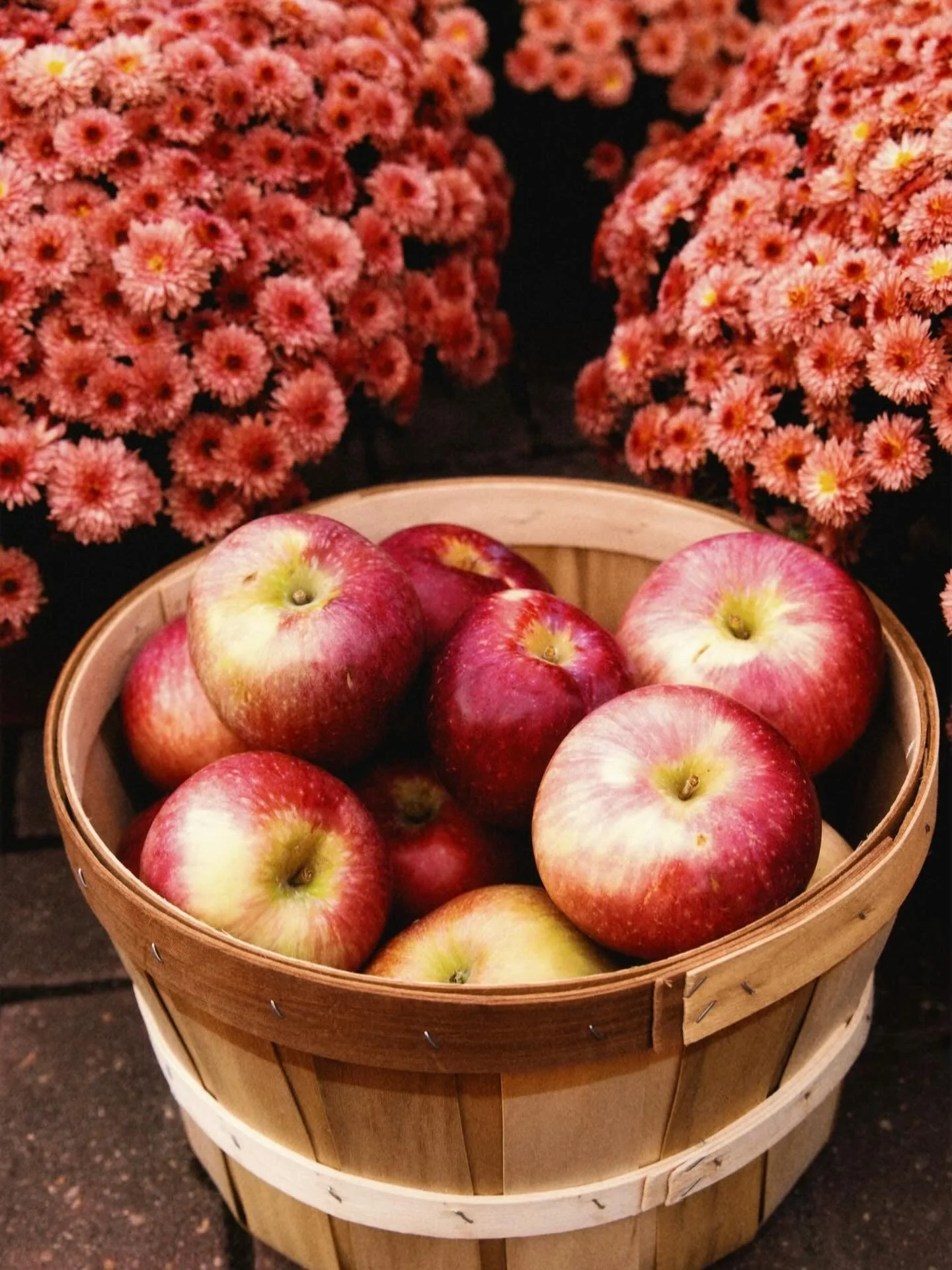 Nothing says fall like crisp apples straight from the farm 🍂 Come pick your favorites this weekend!

#apples #applepicking #farmersmarket #richfieldfarms #clifton #nj #montclair #localfarm #gardencenter #organic
