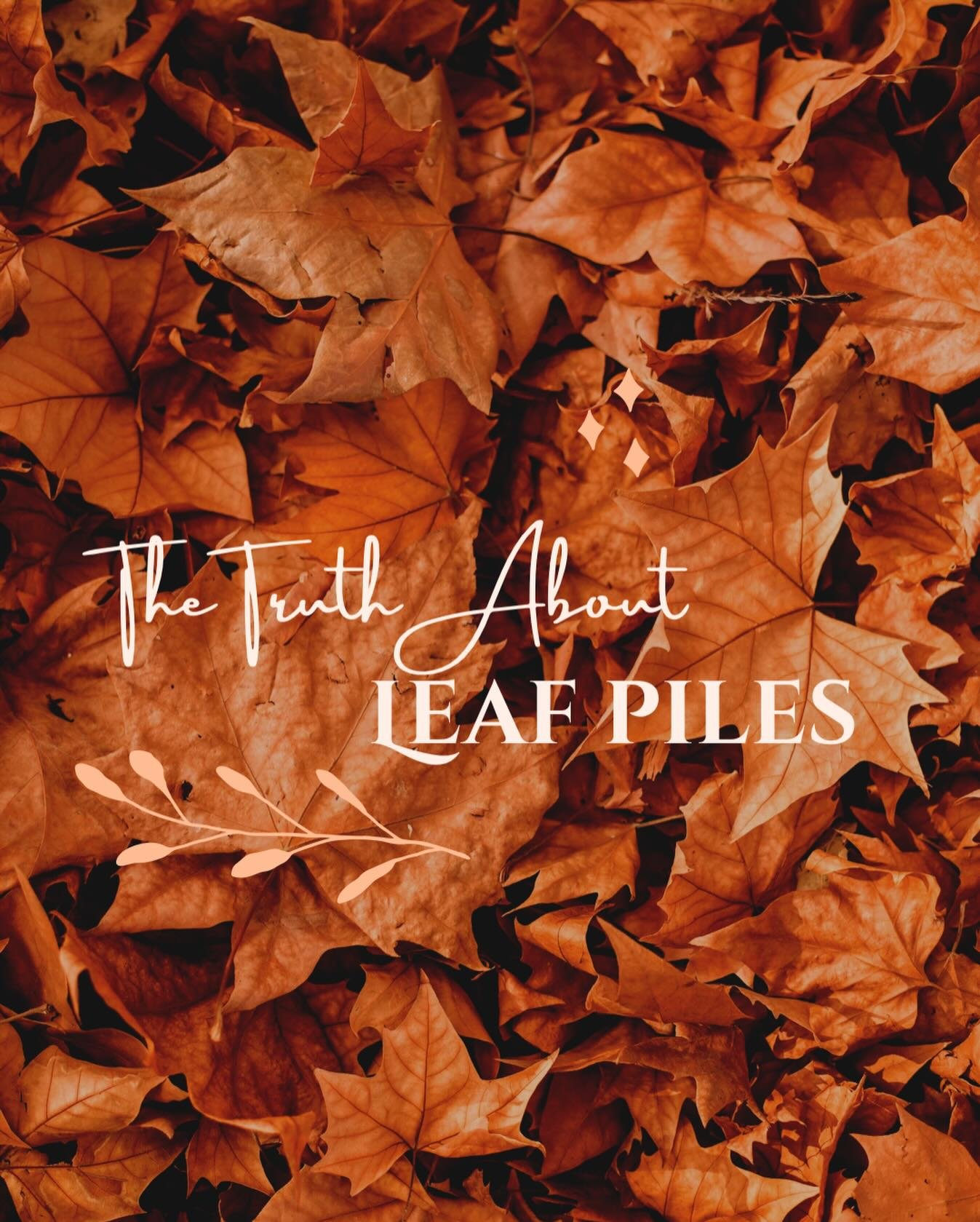 Before you rake it all away, pause. 🍂
Leaf piles protect your soil, shelter pollinators, and break down into nutrient-rich compost.
One of the easiest ways to care for your garden?
Let nature do her thing. 

#garden #gardencenter #gardening #farm #n
