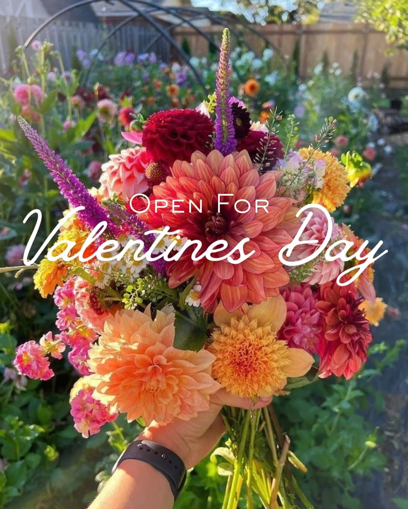 Richfield Farms will be open Friday, February 13th 9AM - 6PM &amp; Saturday February 14th for Valentines Day! Get your bouquets and special farm treats for your loved ones ❤️ 🐻 🌹 #valentinesday