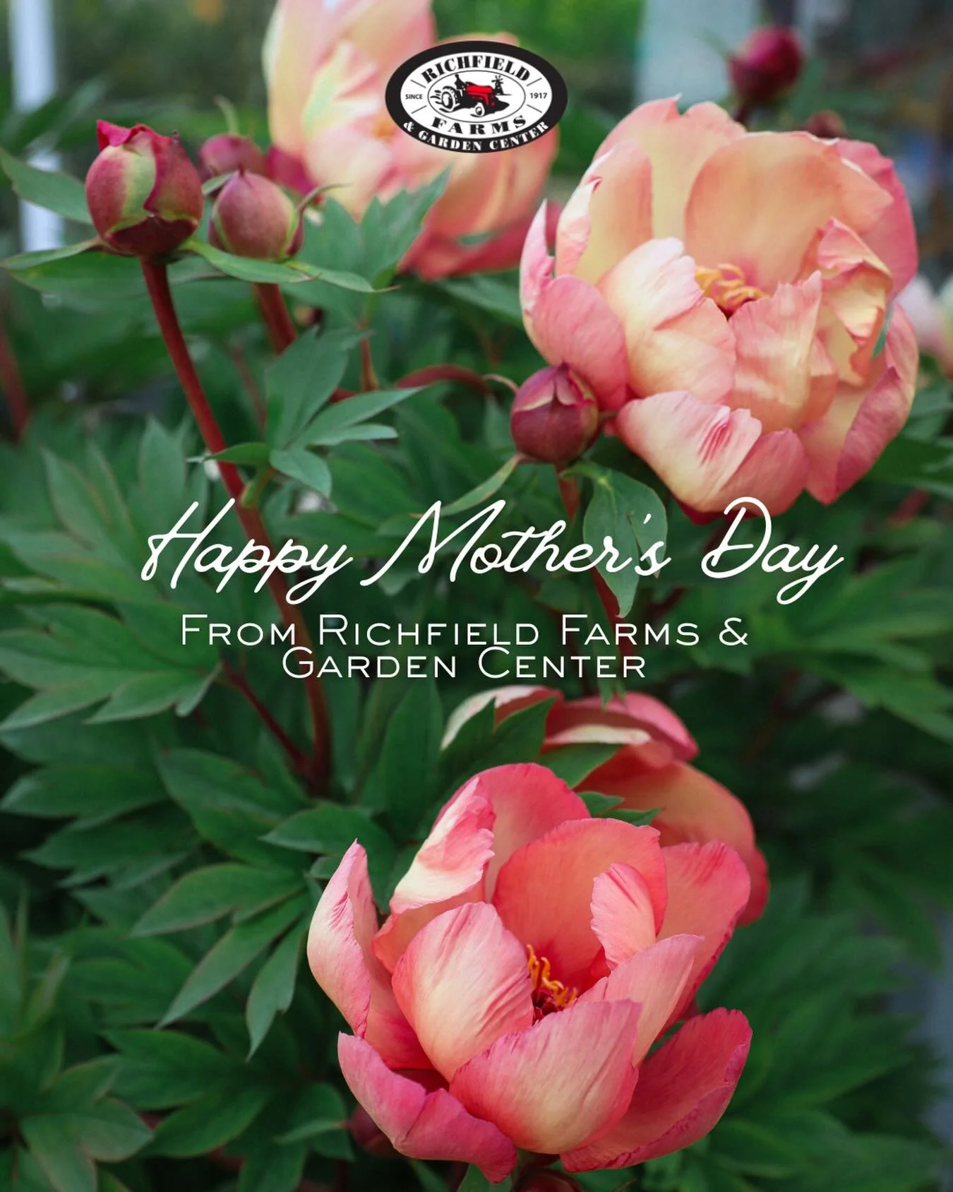 At Richfield Farms &amp; Garden Center, we want to sincerely wish all of the mothers out there a Happy Mother&rsquo;s Day. 💐 

Mother&rsquo;s day is a day of love, celebration, remembrance, and gratitude. It&rsquo;s a day we honor mother&rsquo;s of 