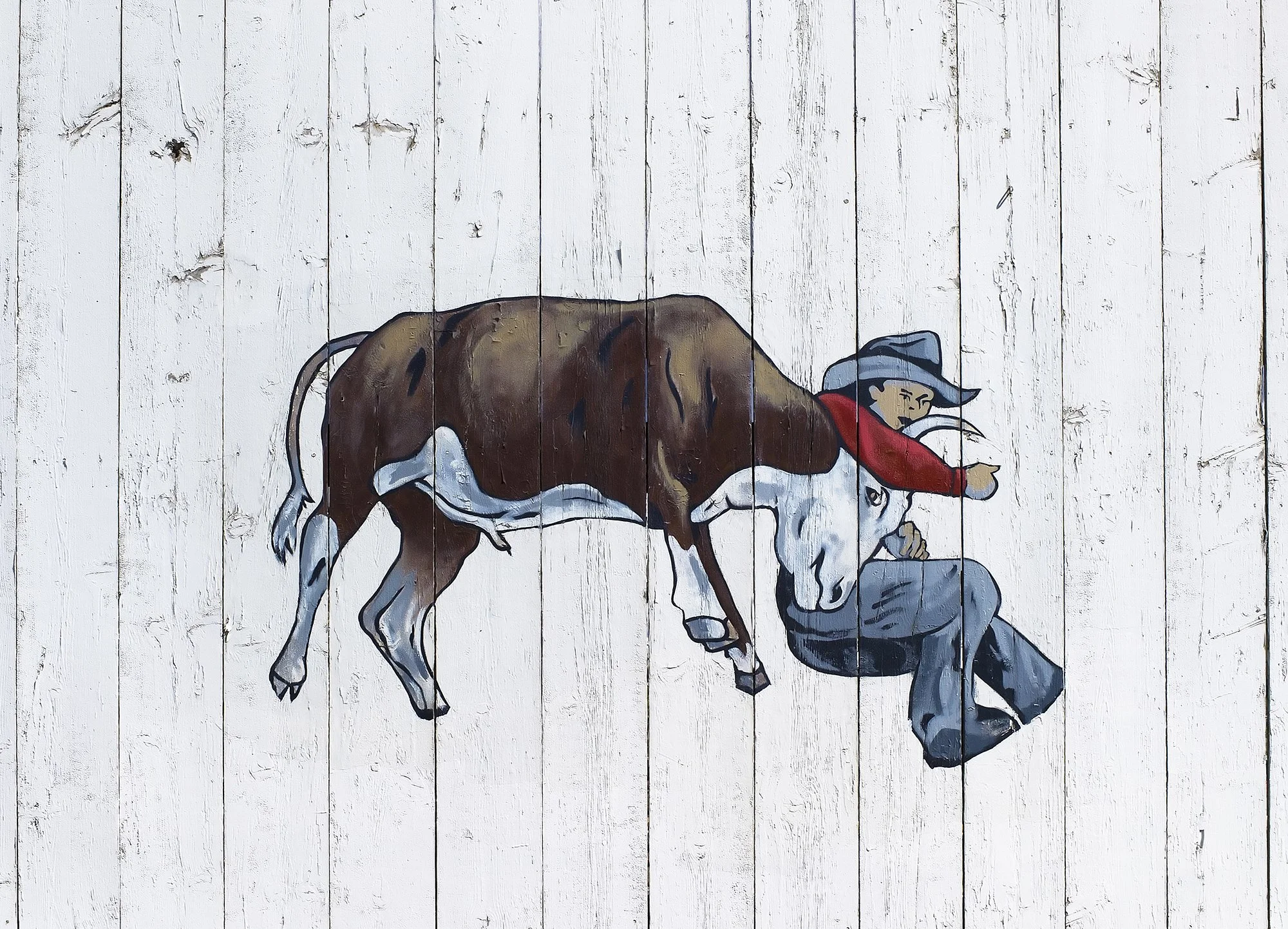 Rodeo mural, county fairgrounds. Hailey, Idaho. 2010.
