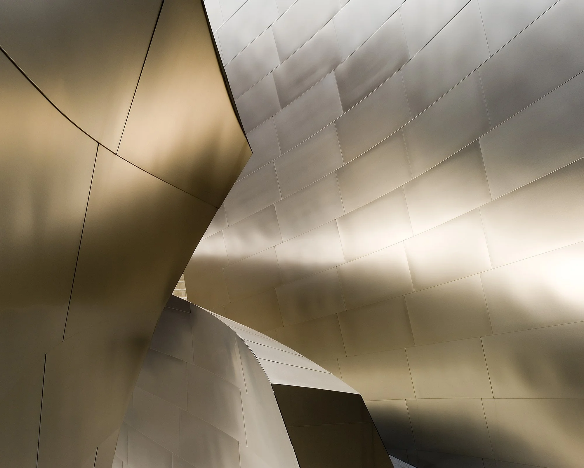 Disney Concert Hall. Los Angeles, California. 2007.
