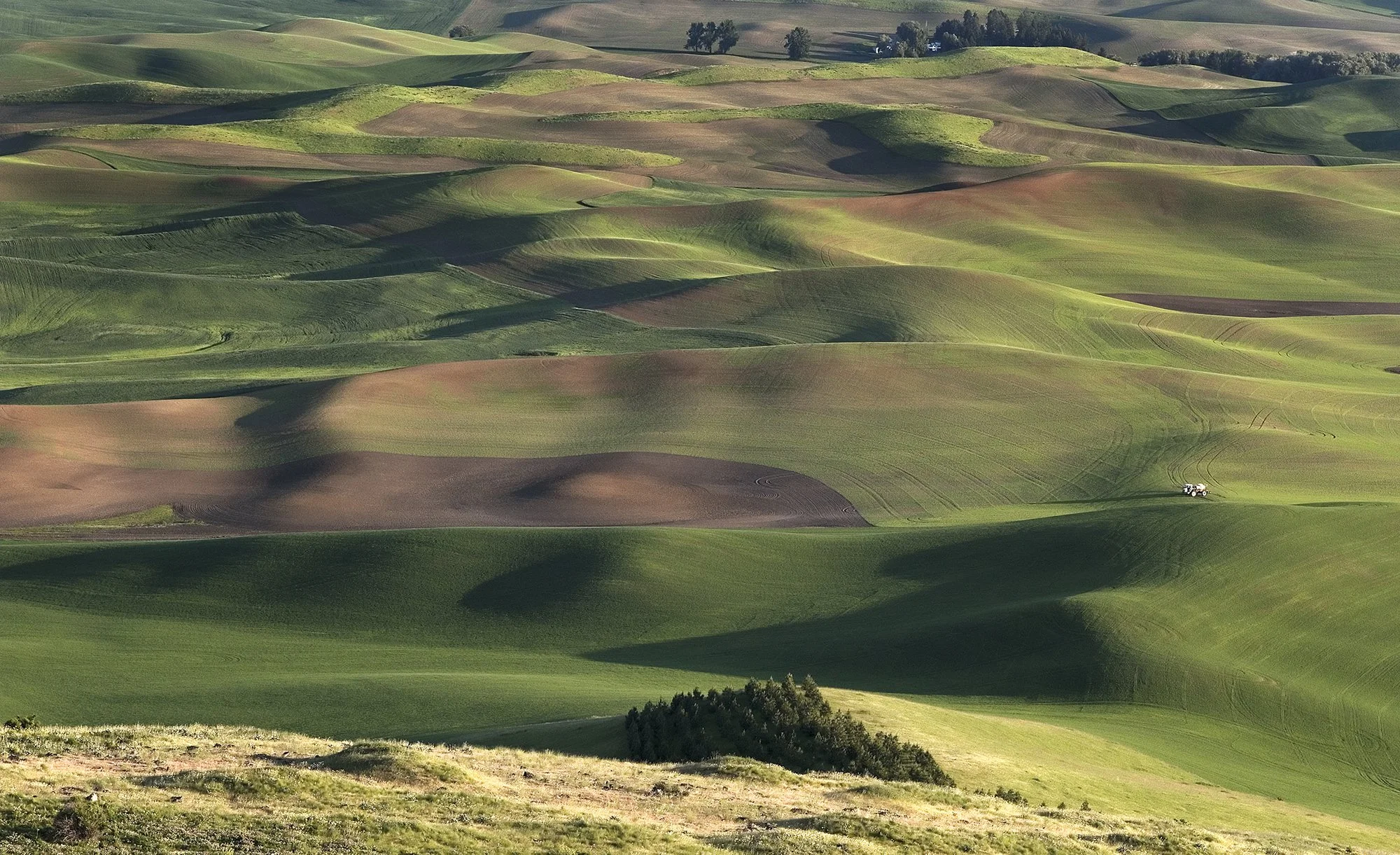Wheat fields in the Palouse. Washington. 2009.