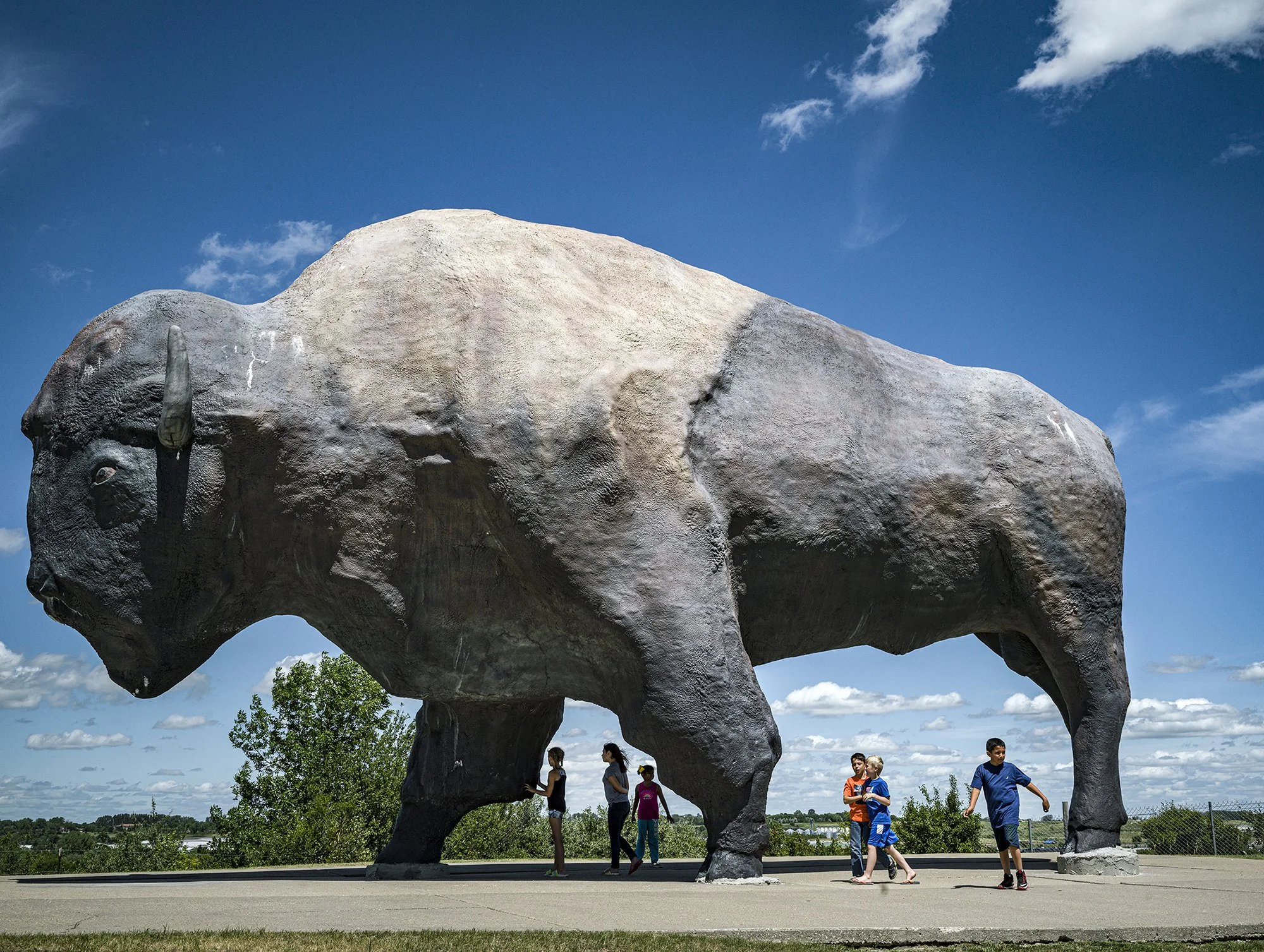 Giant buffalo statue. Jamestown, North Dakota. 2020.