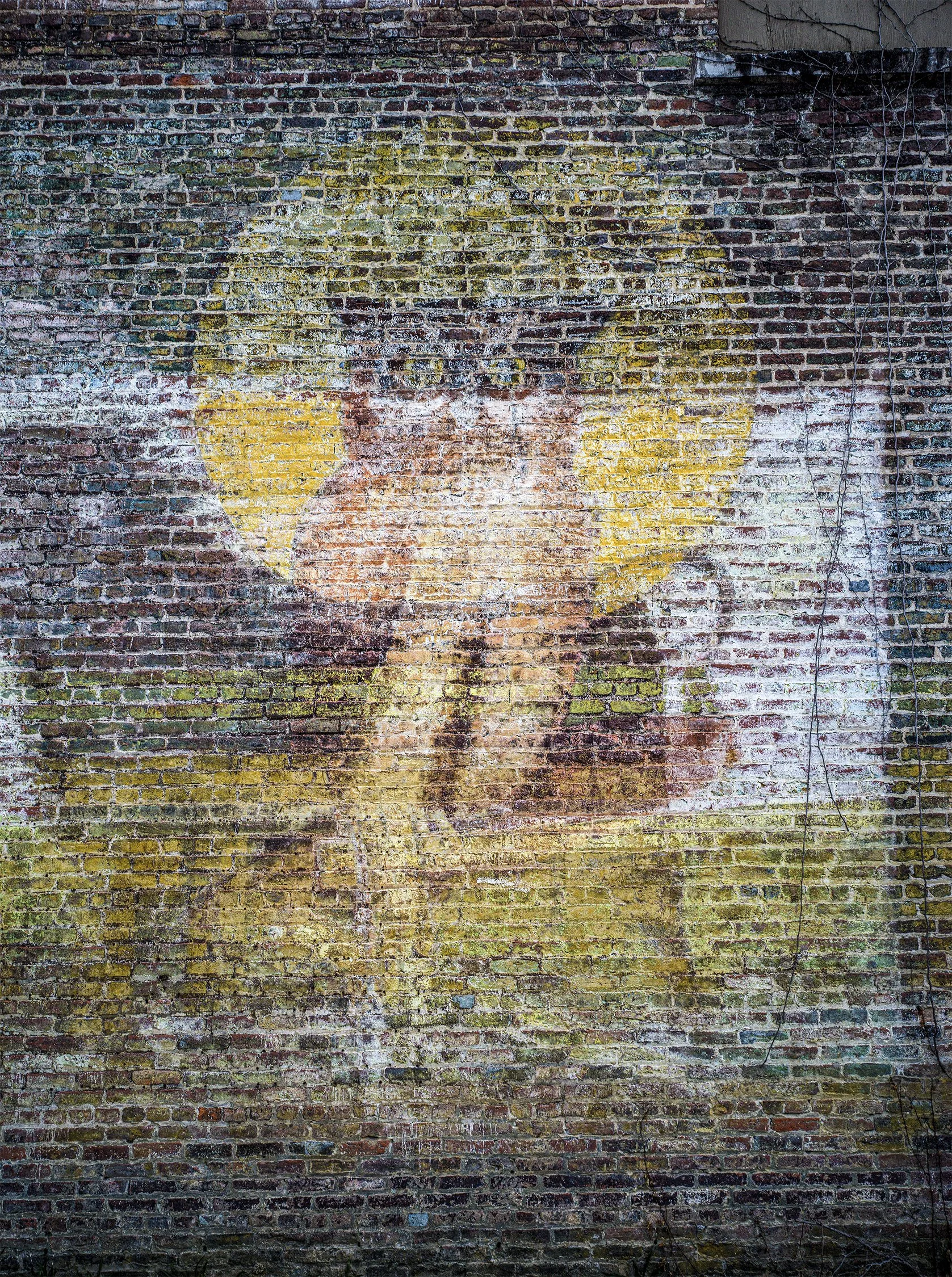 Ghost owl sign. Demopolis, Alabama. 2019.