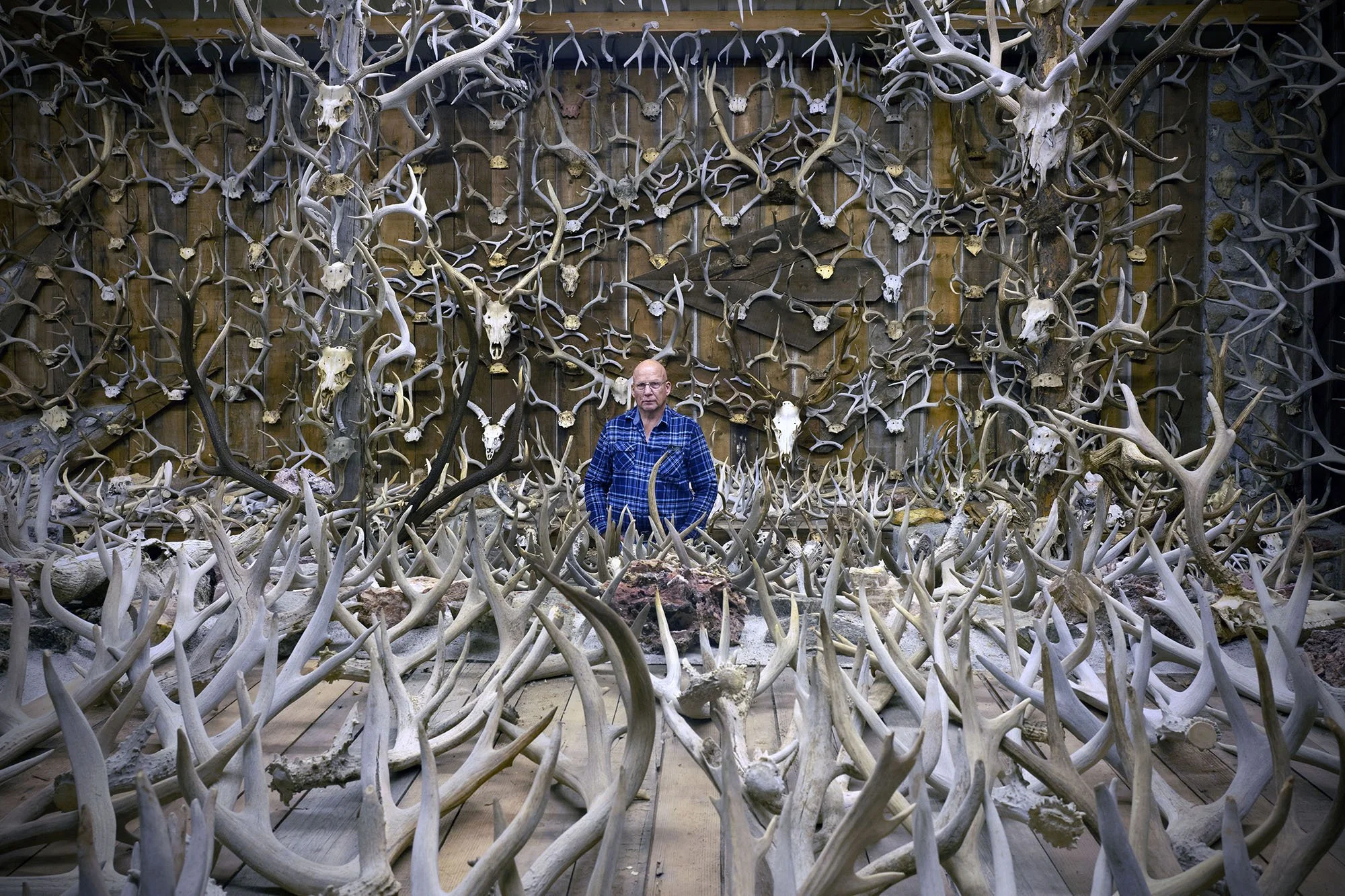 Jim Phillips, aka “Antler Man,” standing among his collection of more than 15,000 elk, deer, and bison sheds. Three Forks, Montana. 2020.