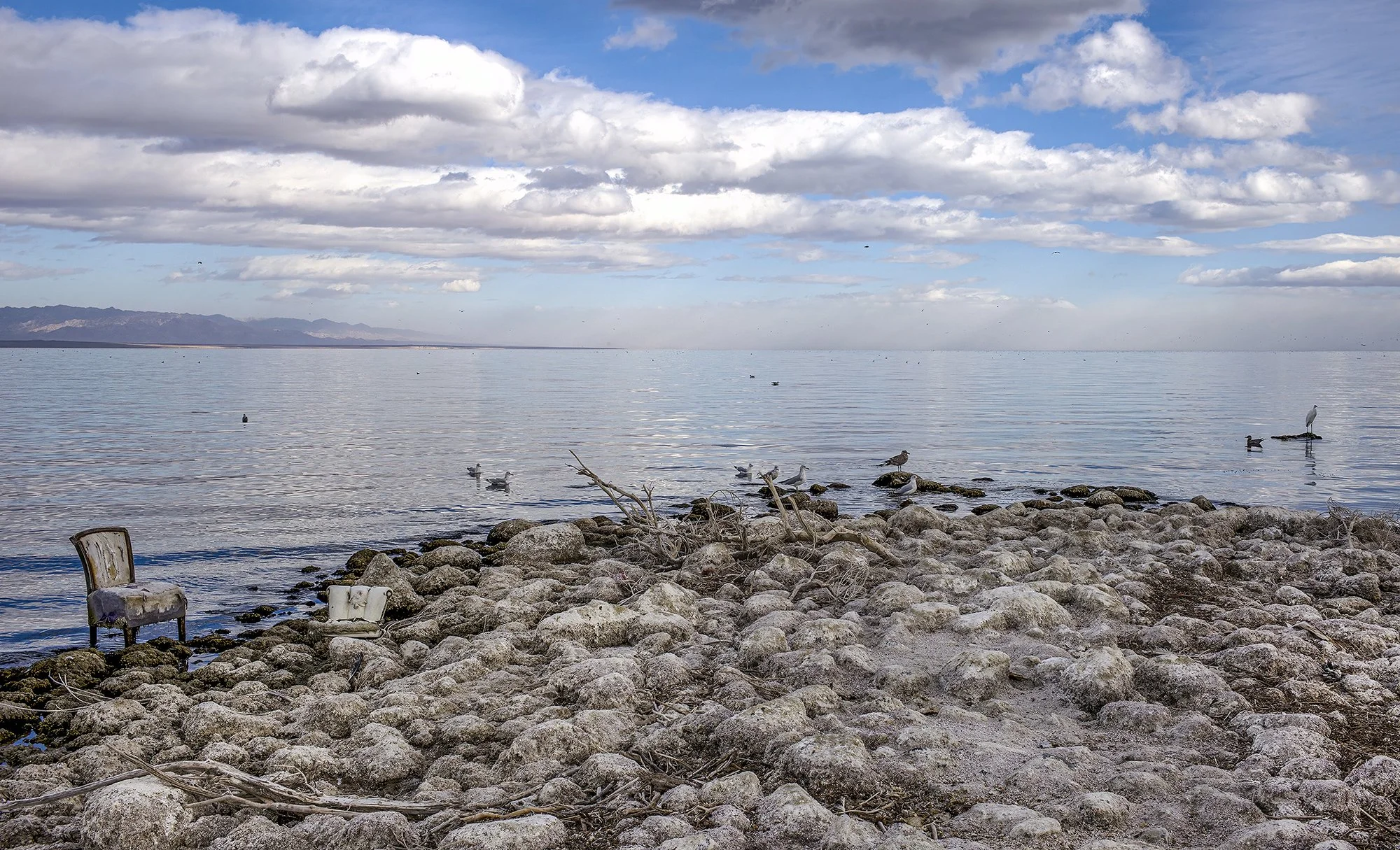Shoreline, Salton Sea. Salton City, California. 2013.