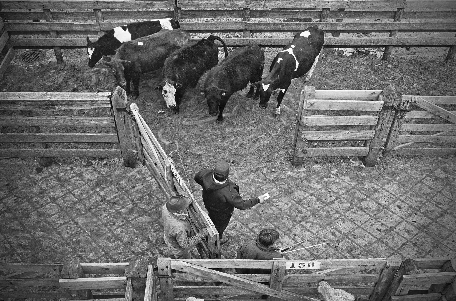 South St. Paul Stockyards. St. Paul. 1978.