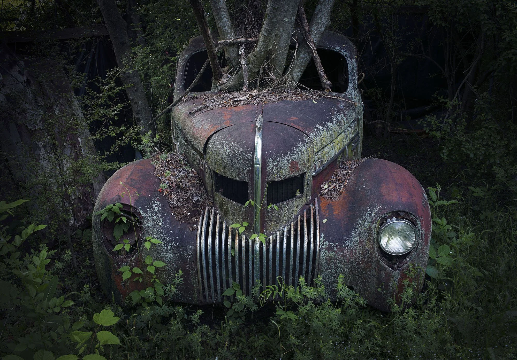 Chrysler with trees. White, Georgia. 2016.